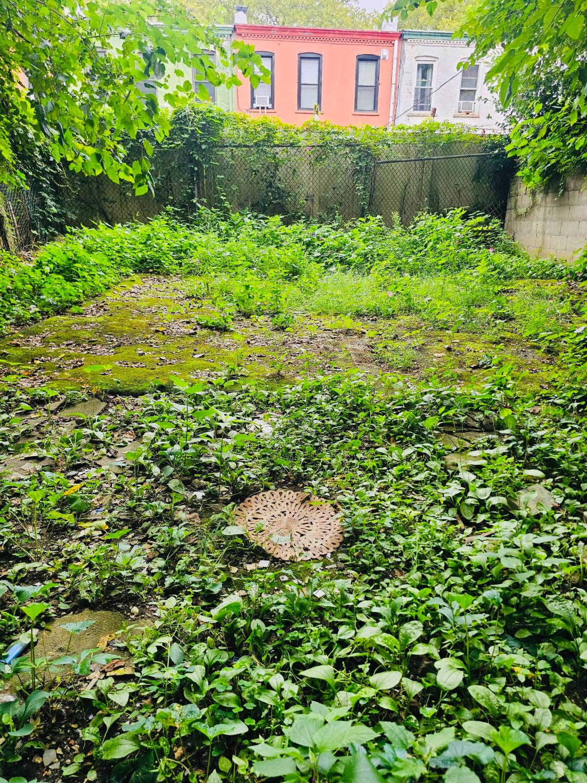 #22 photo, 1231 Halsey St, Bushwick , NY 11237