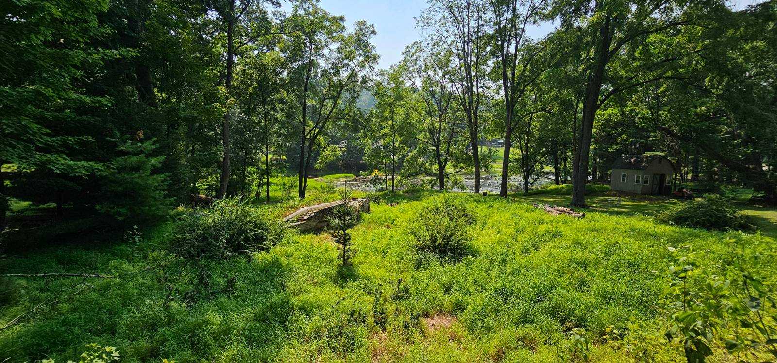 #4 photo, Lot 10 Odd Fellows Hall St, Narrowsburg , NY 12764