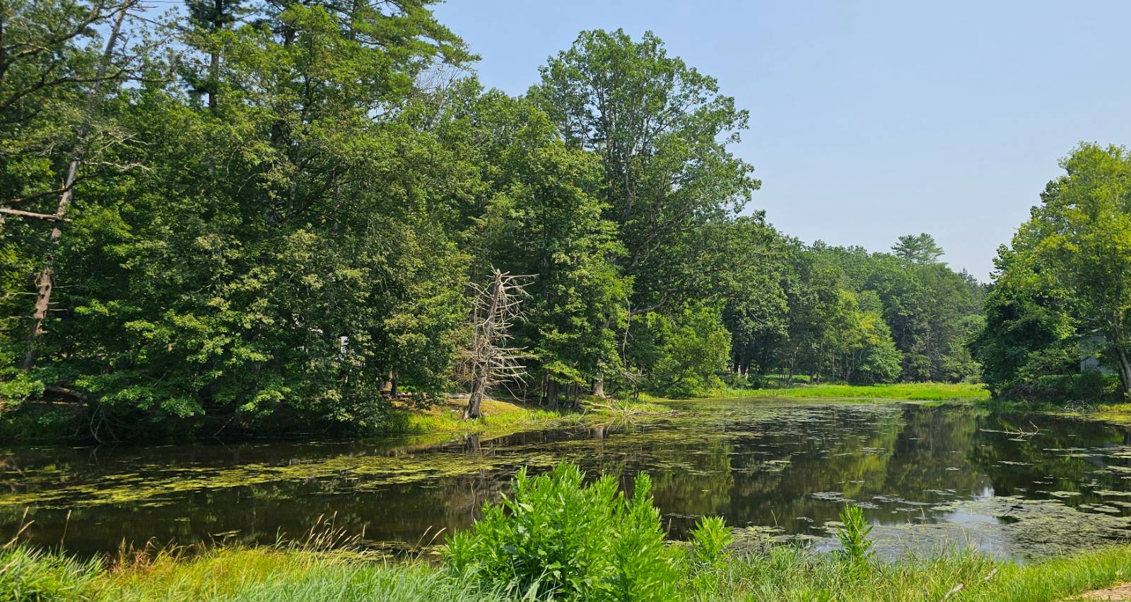 #7 photo, Lot 10 Odd Fellows Hall St, Narrowsburg , NY 12764