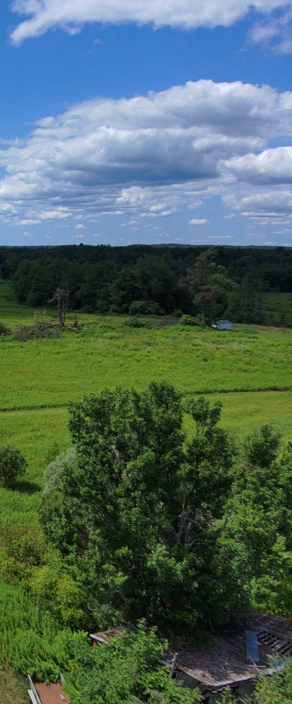 #3 photo, 8083 Link Rd, #2, Rome , NY 13440