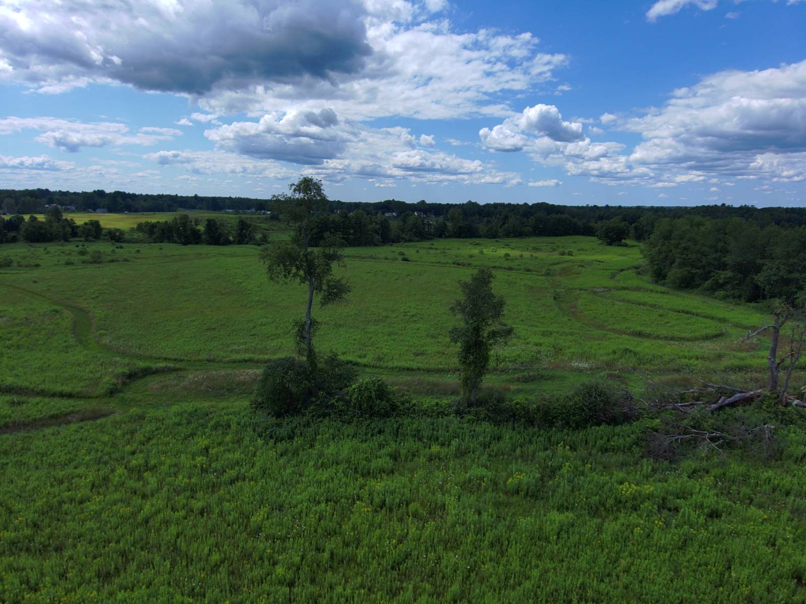 #10 photo, 8083 Link Rd, #3, Rome , NY 13440