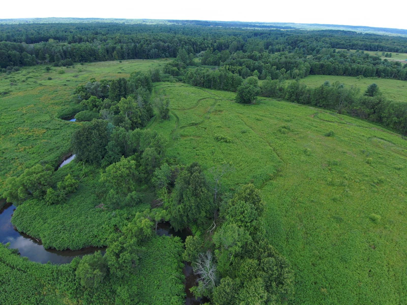 #2 photo, 8083 Link Rd, #3, Rome , NY 13440