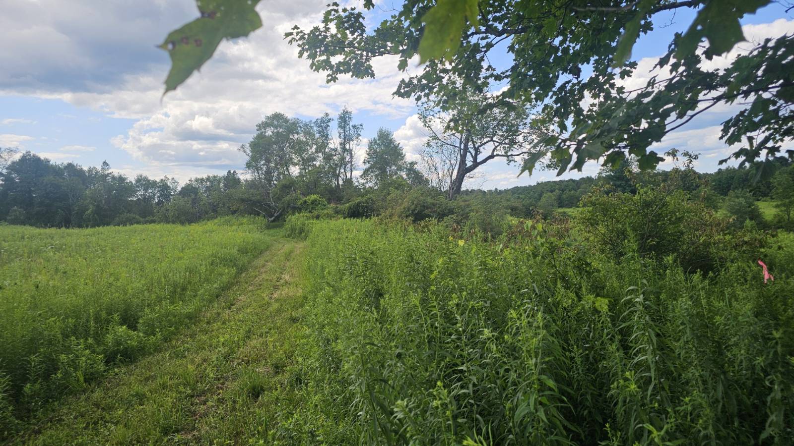 #4 photo, 8083 Link Rd, #3, Rome , NY 13440