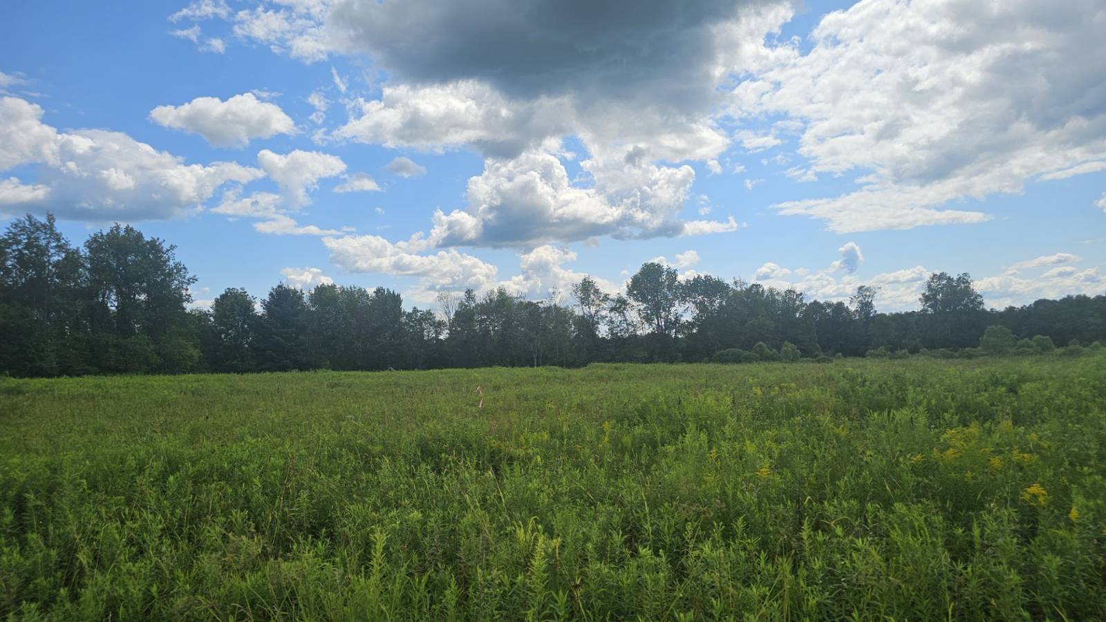 #5 photo, 8083 Link Rd, #3, Rome , NY 13440