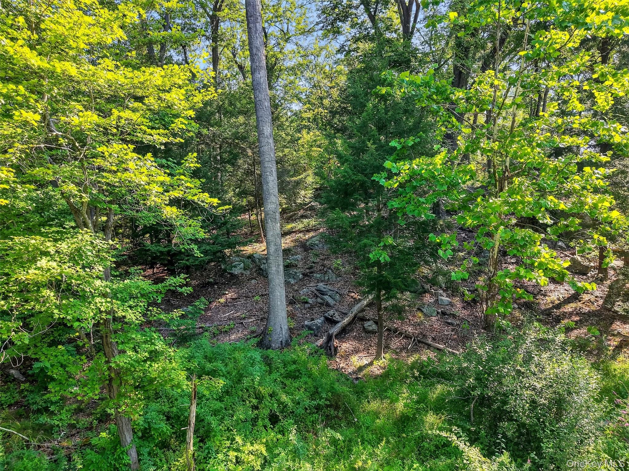 #4 photo, 43 Winston Lane, Garrison , NY 10524