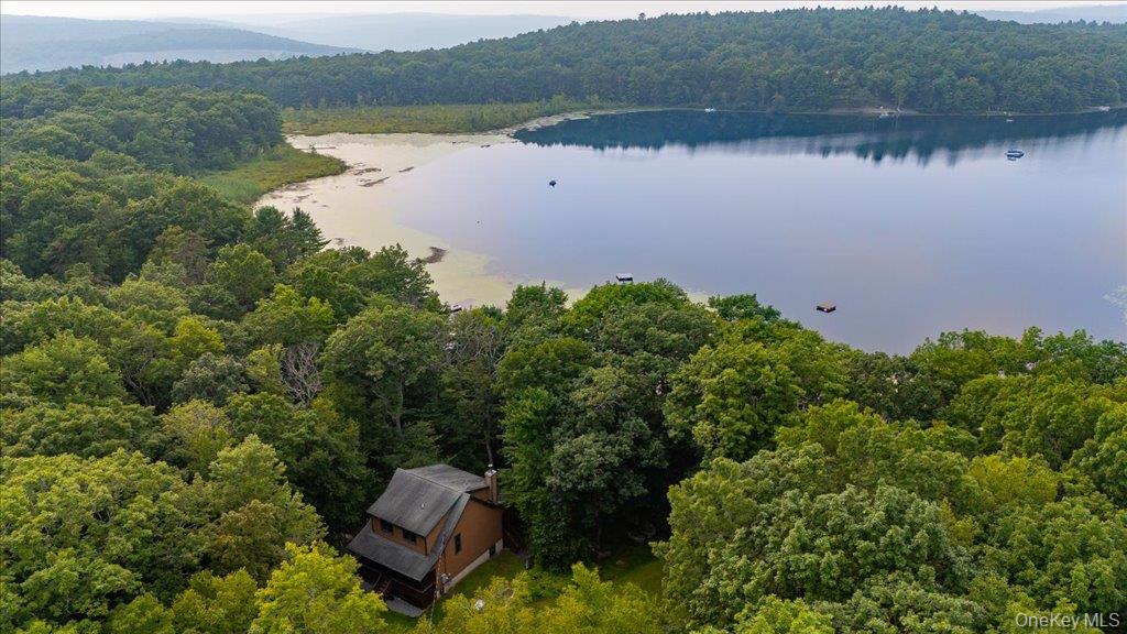 #1 photo, 299 Zane Grey Way, Barryville , NY 12719