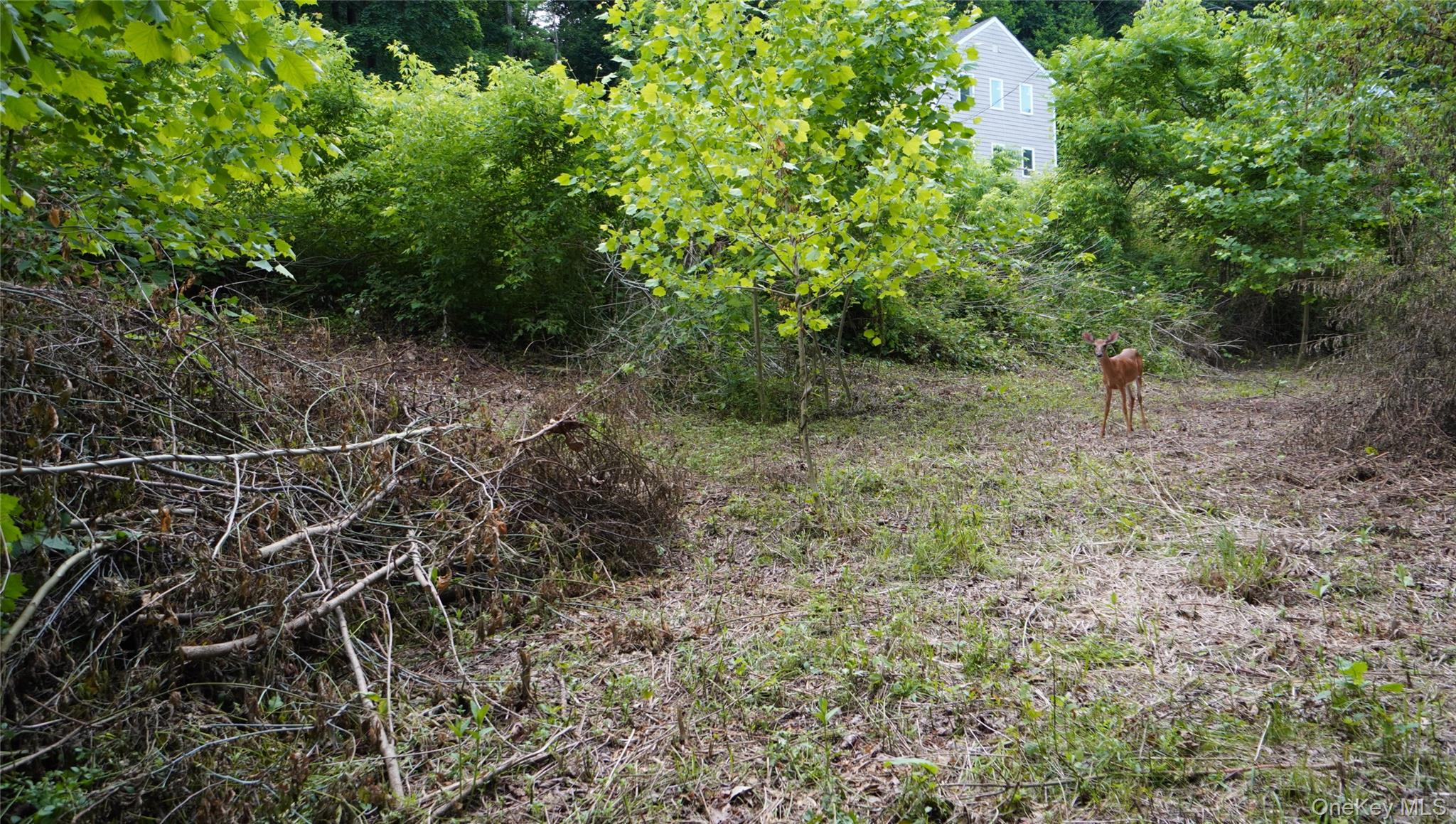 #6 photo, 269-291 Abeel Street, Kingston , NY 12401