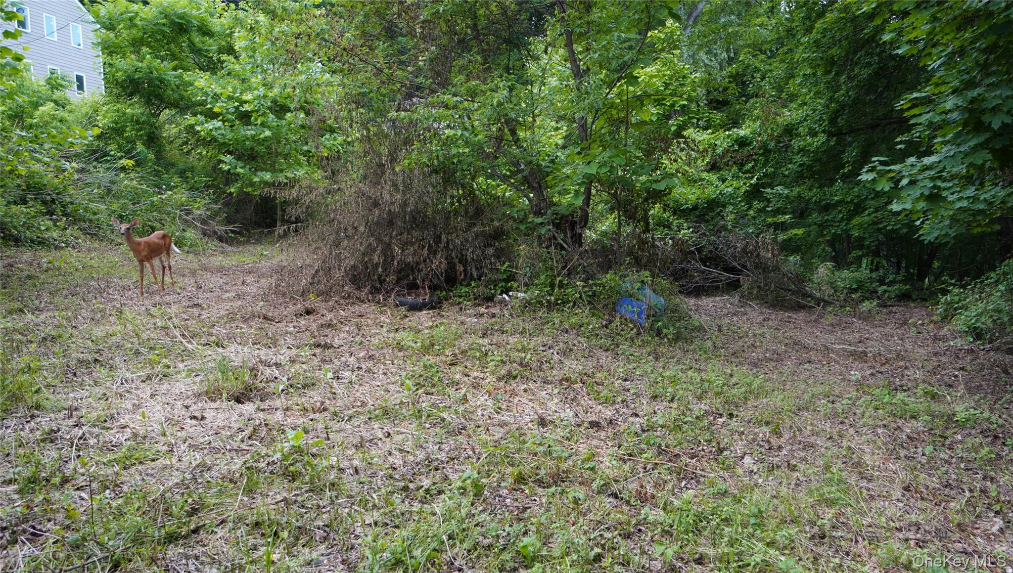 #7 photo, 269-291 Abeel Street, Kingston , NY 12401