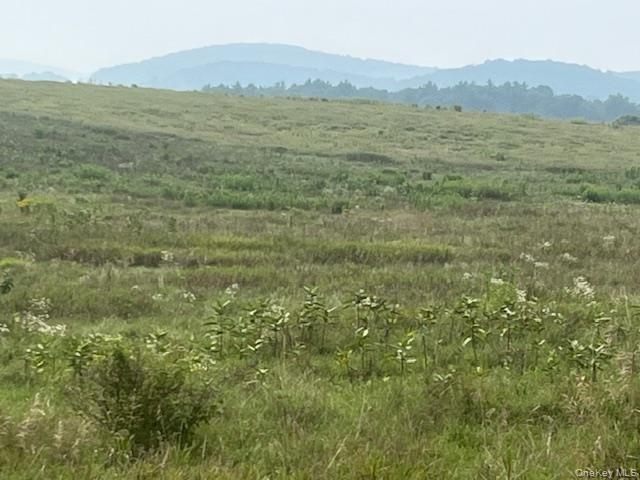 #8 photo, 1820 County Route 7, Ancram , NY 12502