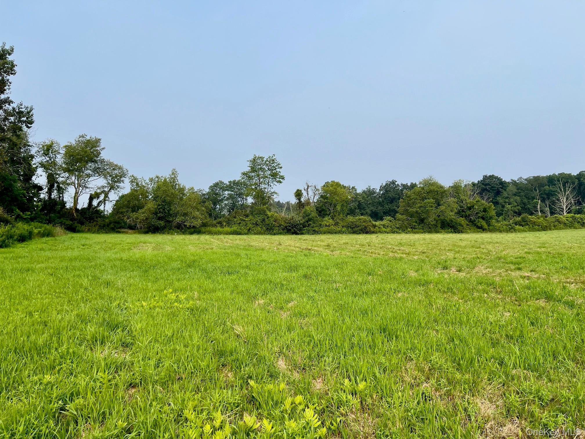 #1 photo, Bangall Road, 纽约州 Millbrook , NY 12545