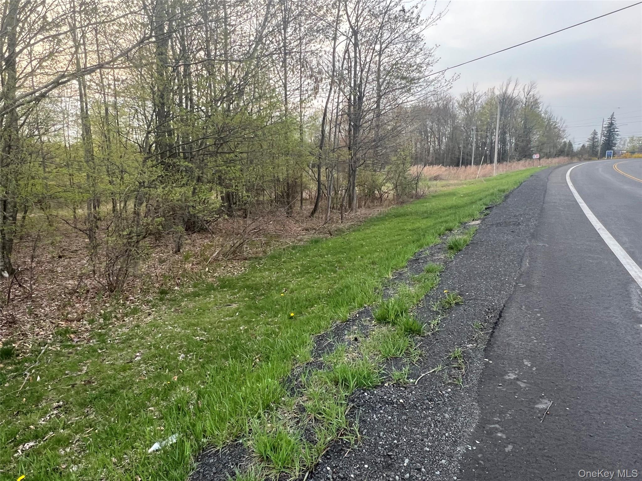 #2 photo, 838 Old Liberty Road, Monticello , NY 12701