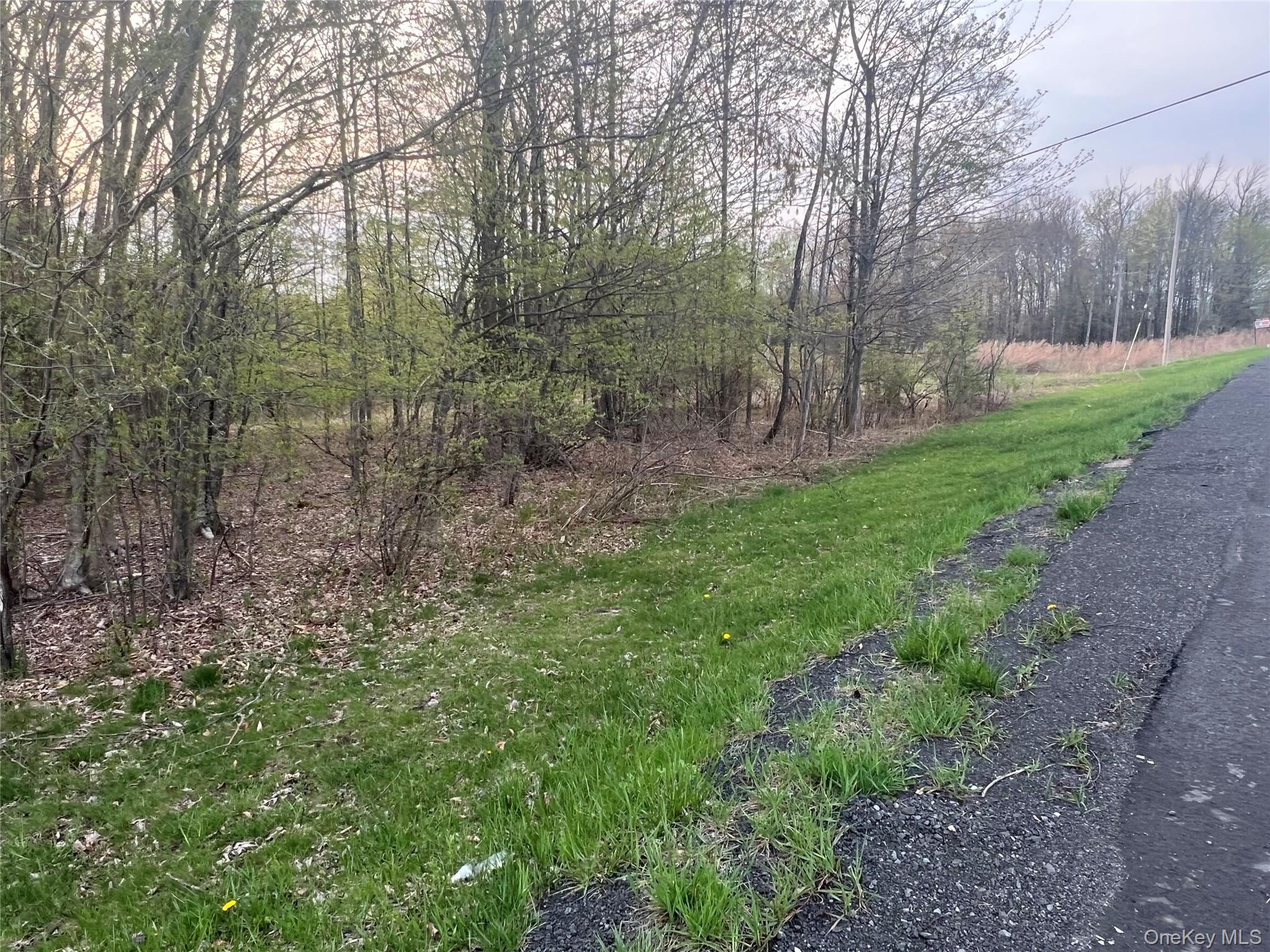 #3 photo, 838 Old Liberty Road, Monticello , NY 12701