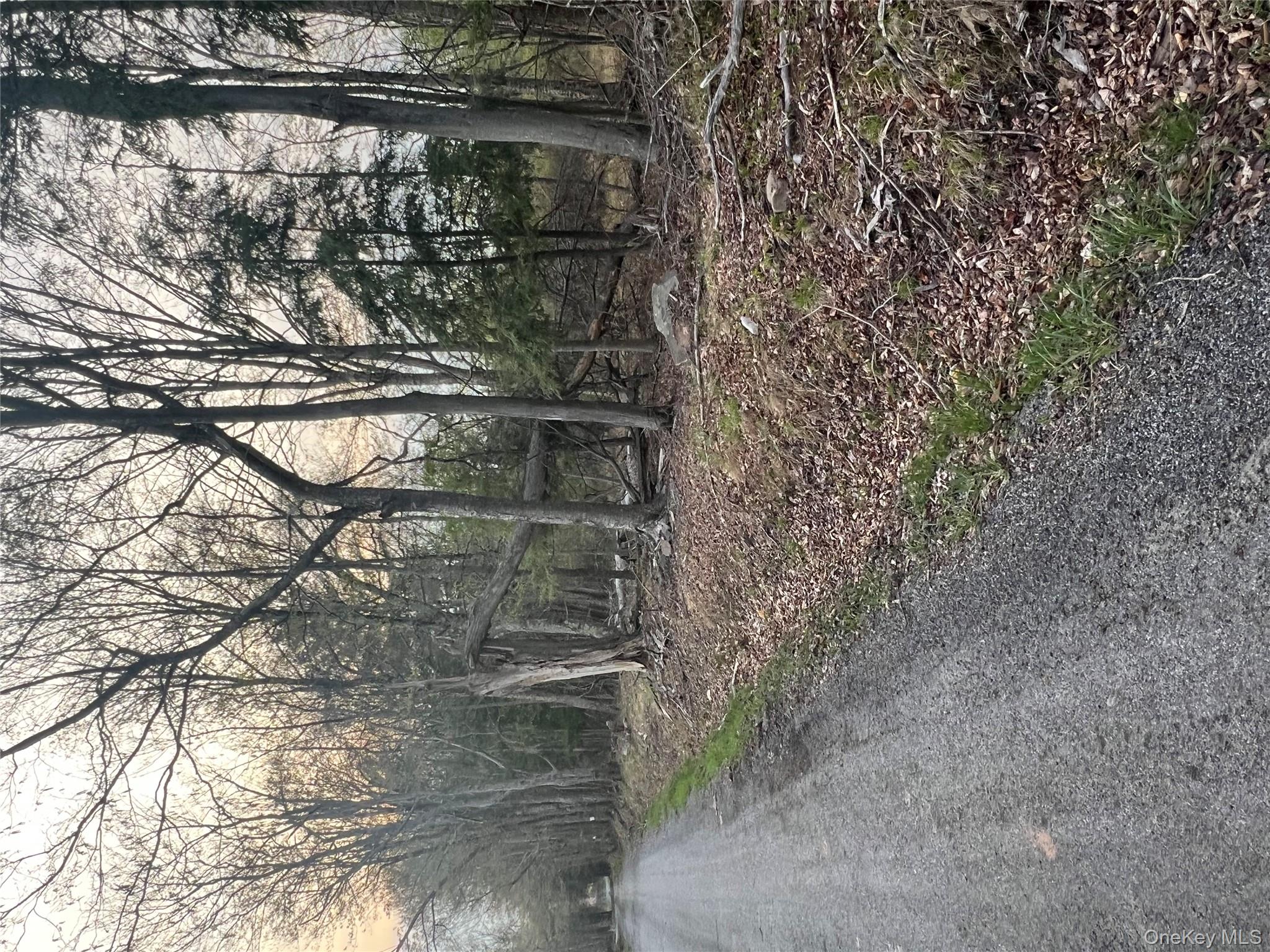 #5 photo, 838 Old Liberty Road, Monticello , NY 12701