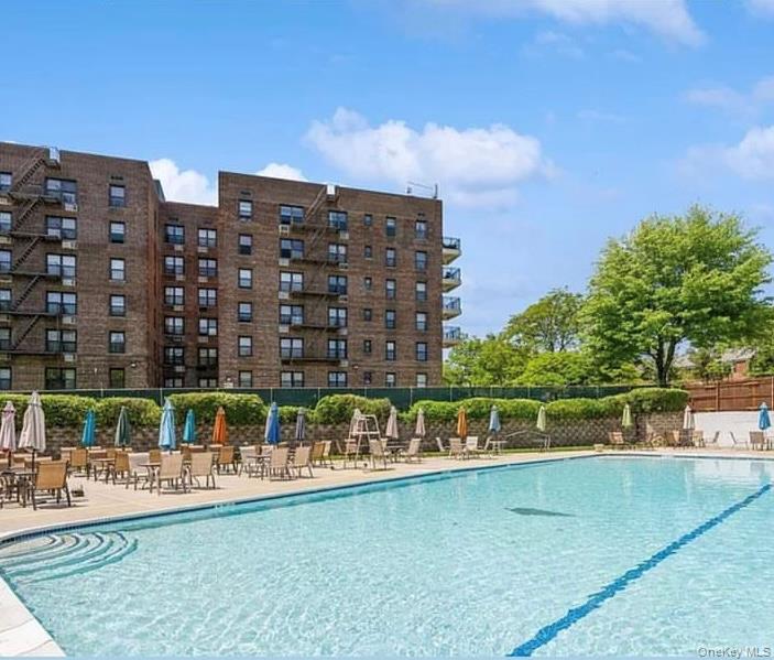 #12 photo, 80-35 Springfield Boulevard, Queens Village , NY 11427