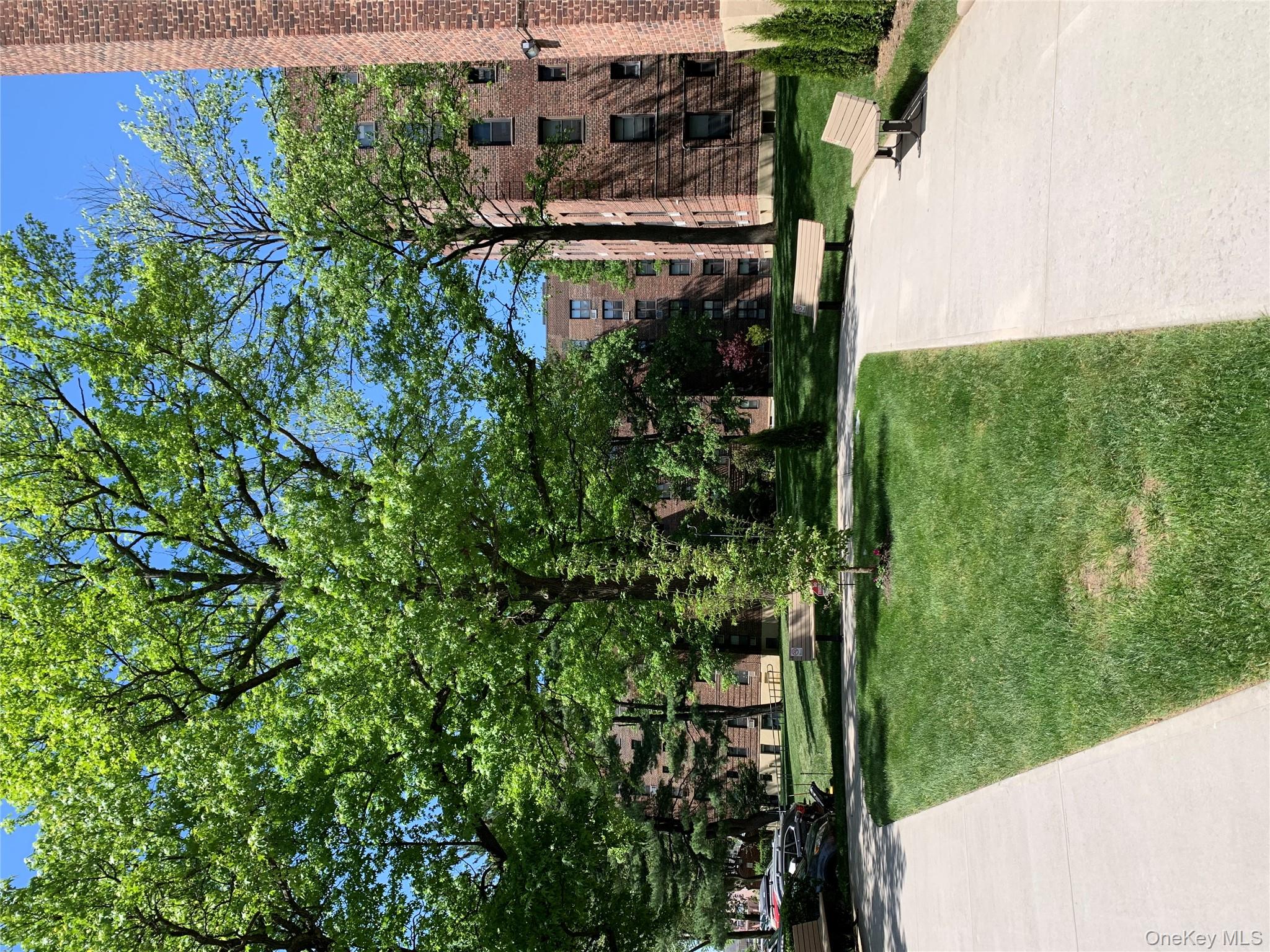 #15 photo, 80-35 Springfield Boulevard, Queens Village , NY 11427