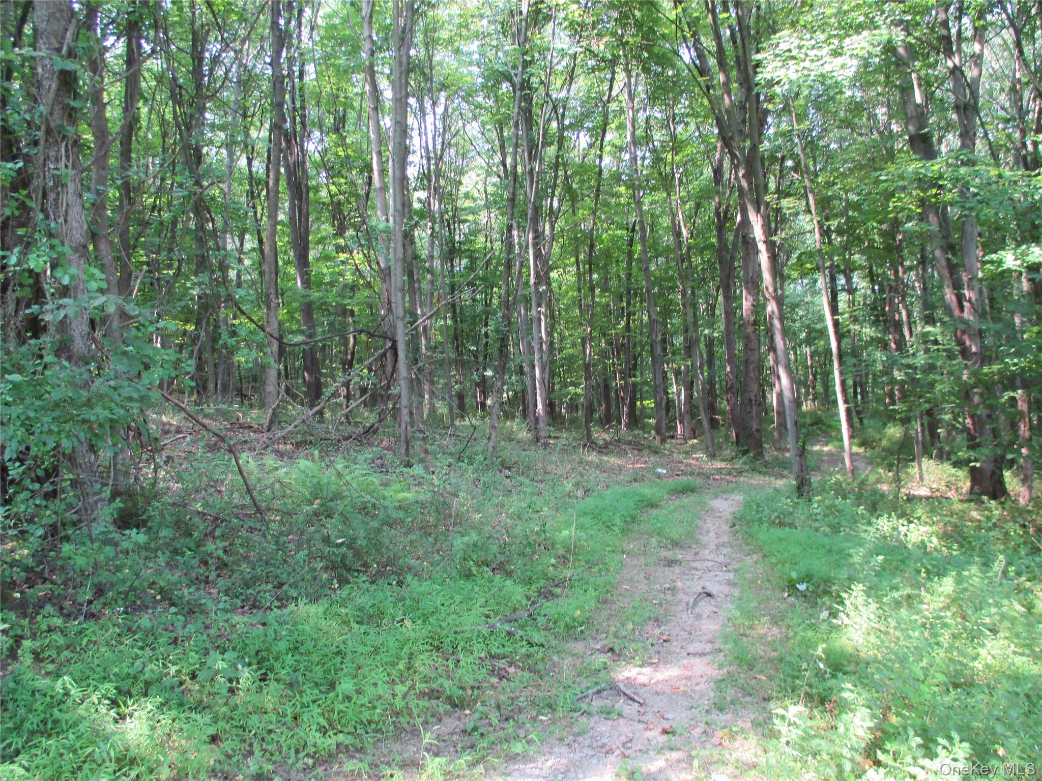 #10 photo, Brady Road, Warwick , NY 10990