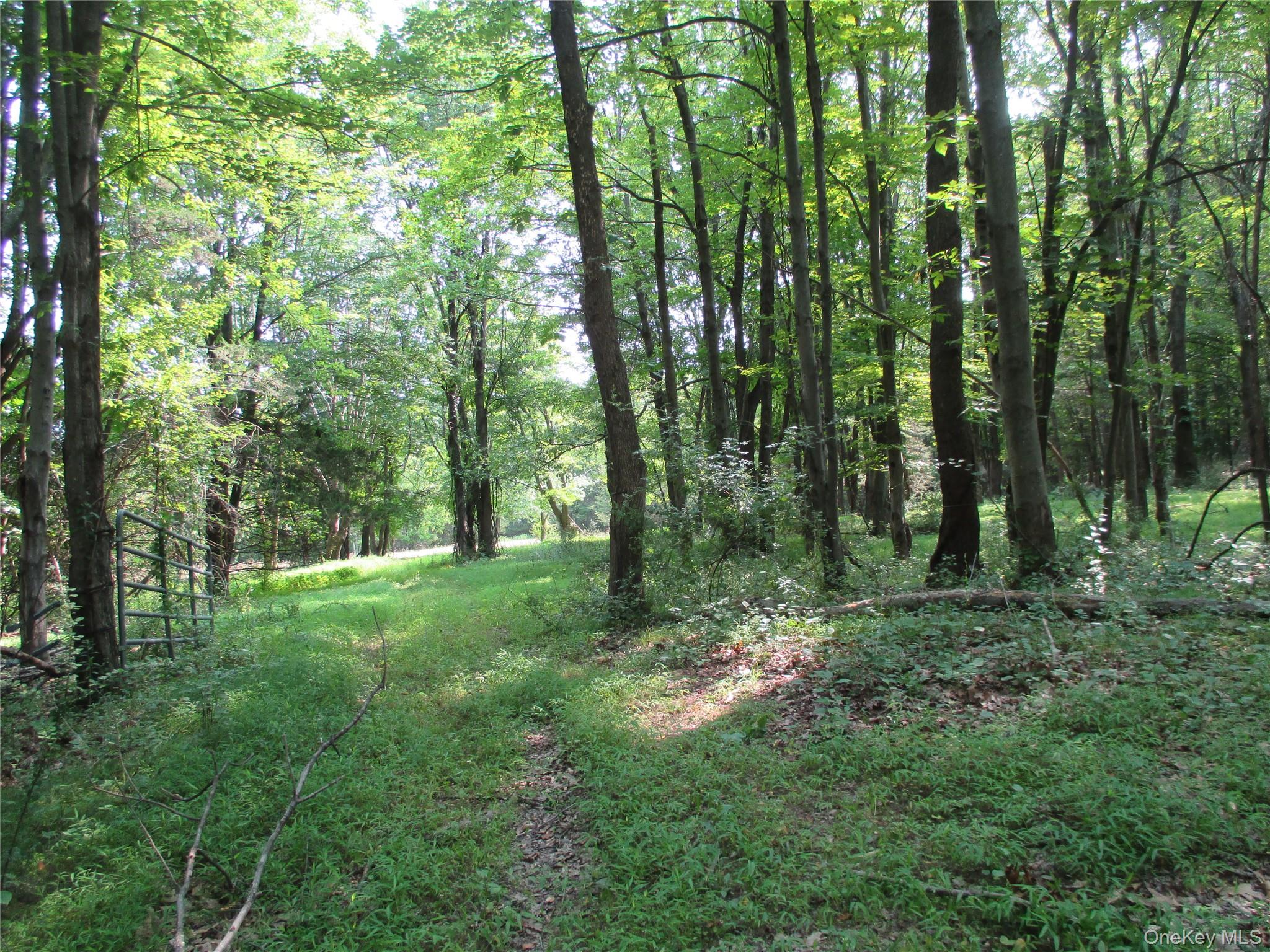 #11 photo, Brady Road, Warwick , NY 10990