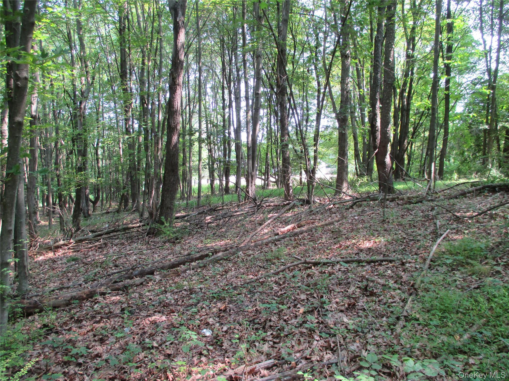 #12 photo, Brady Road, Warwick , NY 10990