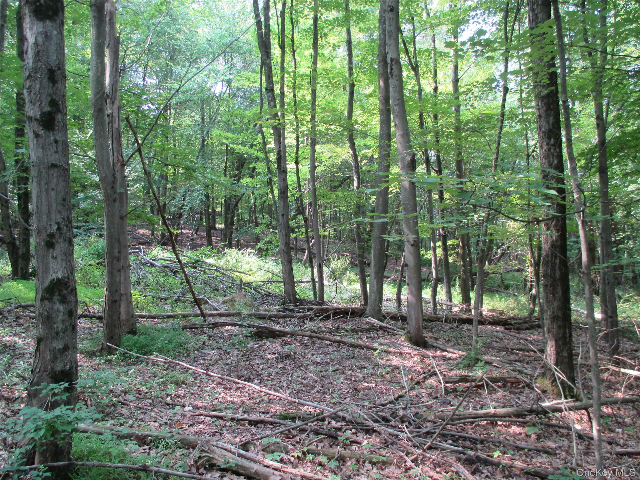 #13 photo, Brady Road, Warwick , NY 10990