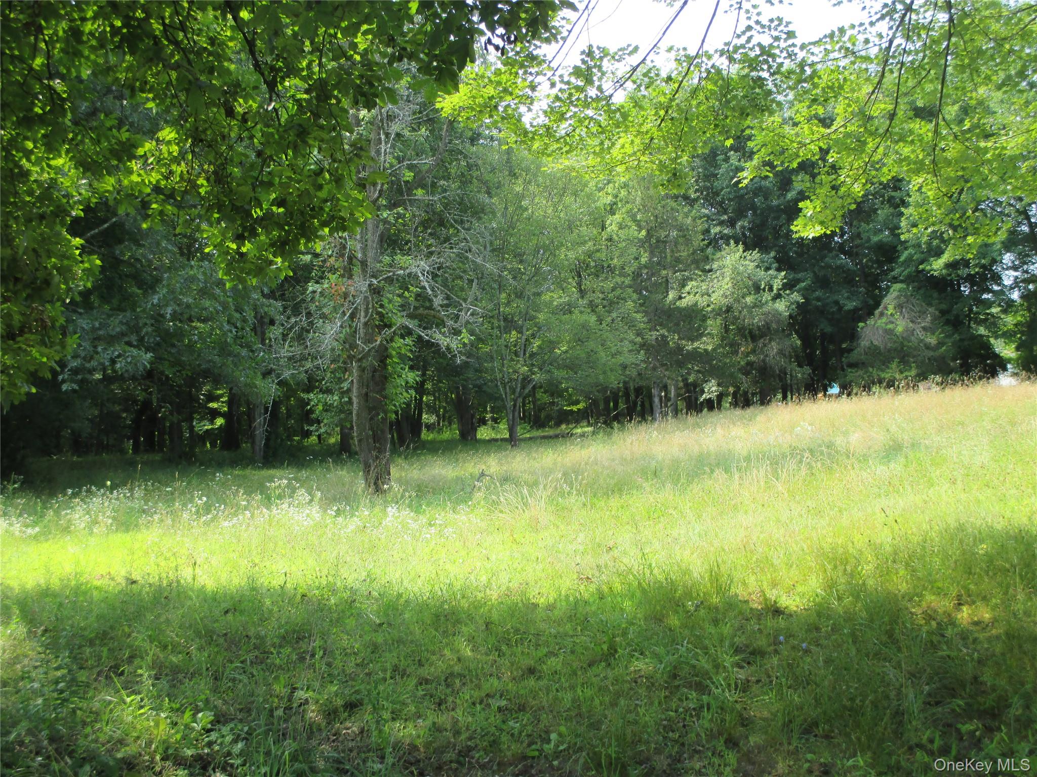 #6 photo, Brady Road, Warwick , NY 10990