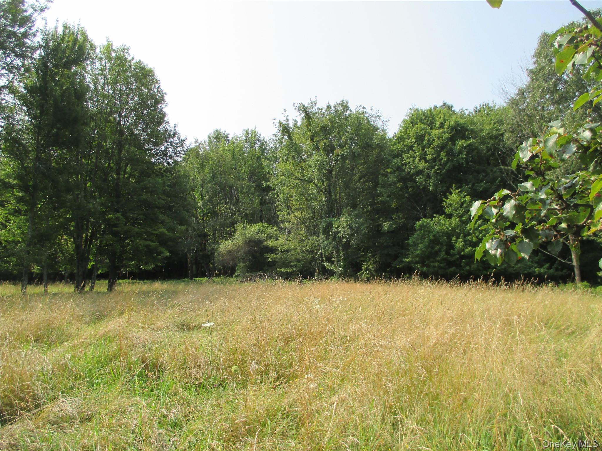 #8 photo, Brady Road, Warwick , NY 10990