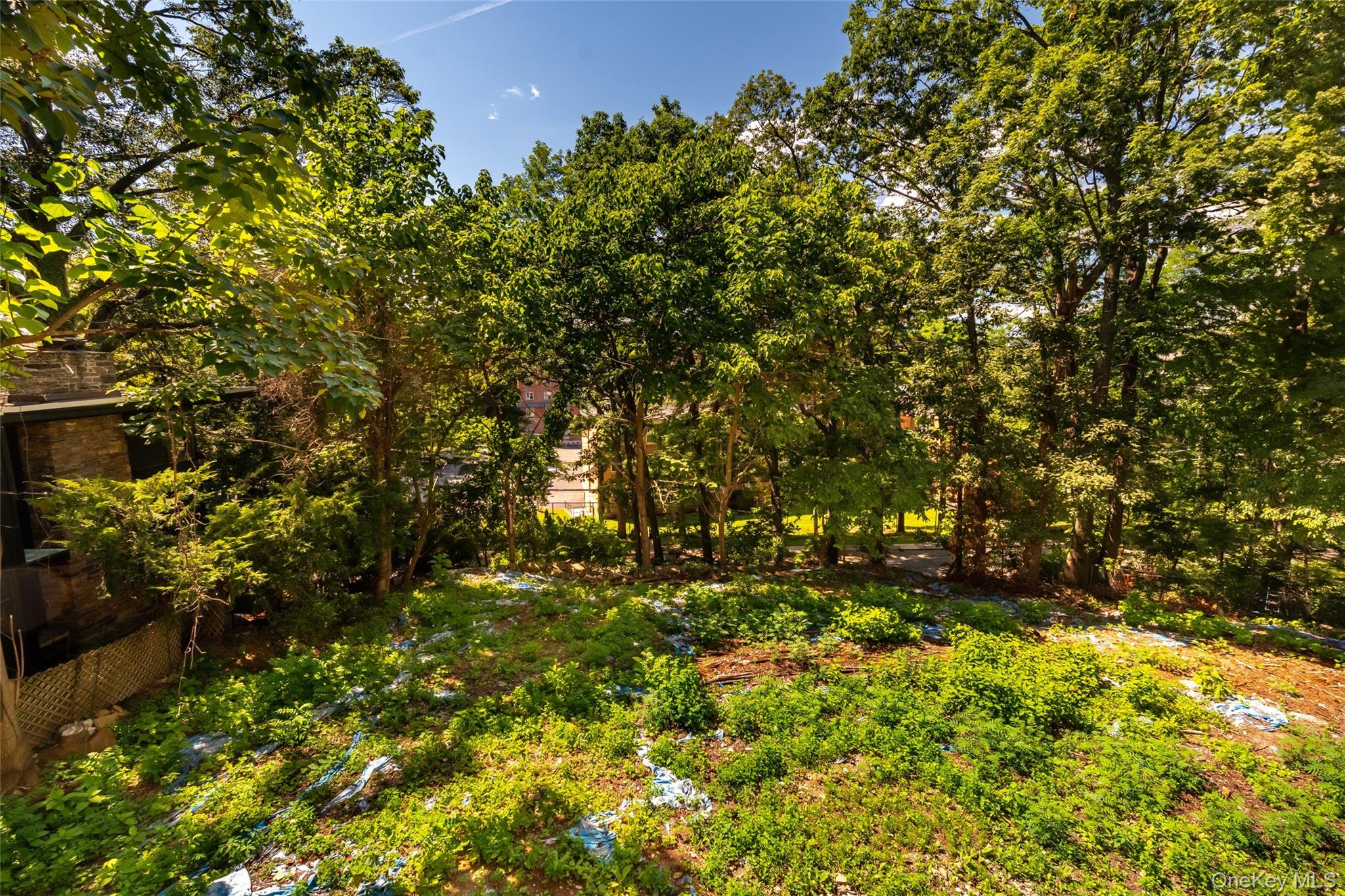 #3 photo, 6000 Palisade Avenue, Bronx , NY 10471