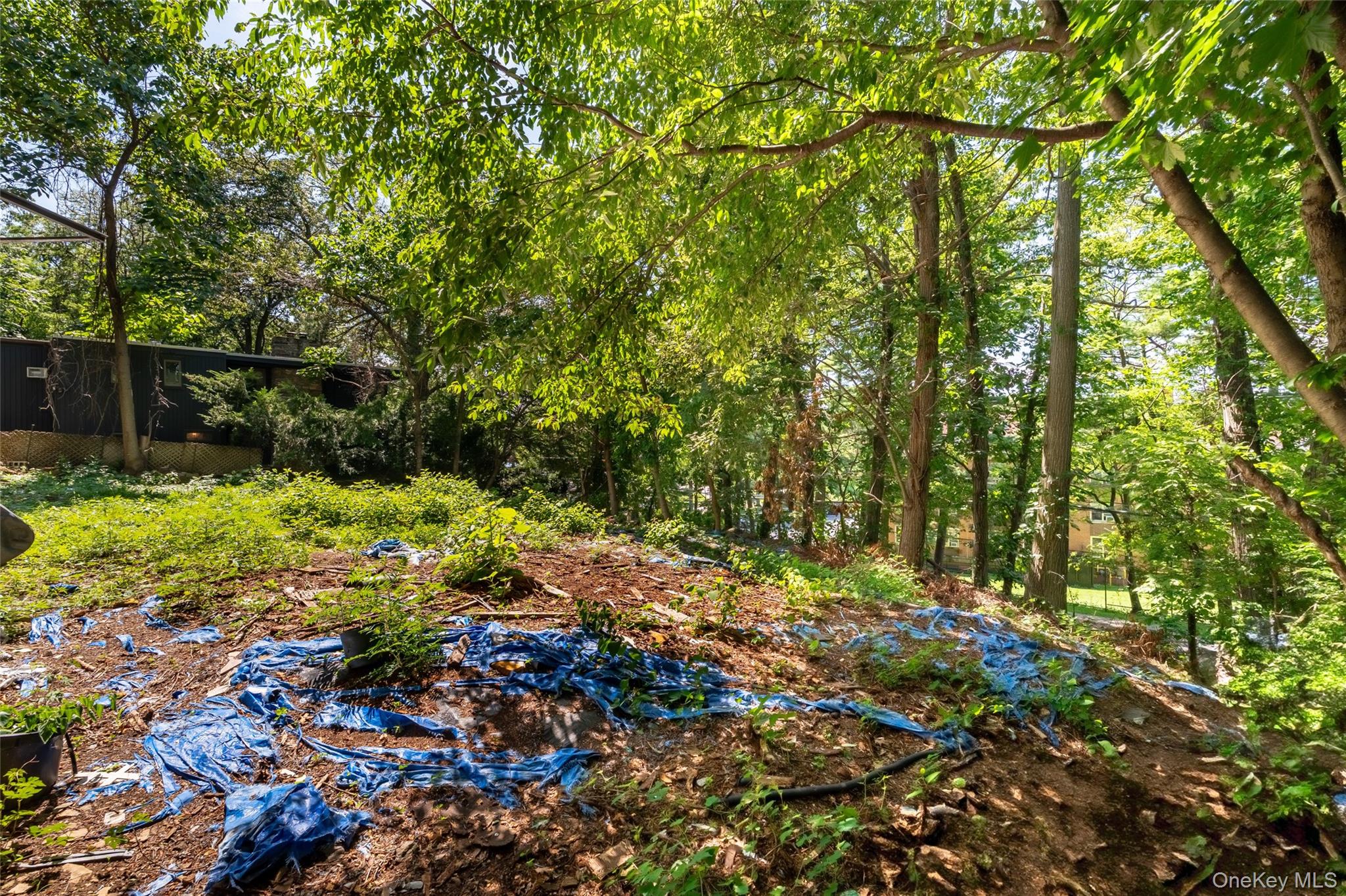 #4 photo, 6000 Palisade Avenue, Bronx , NY 10471