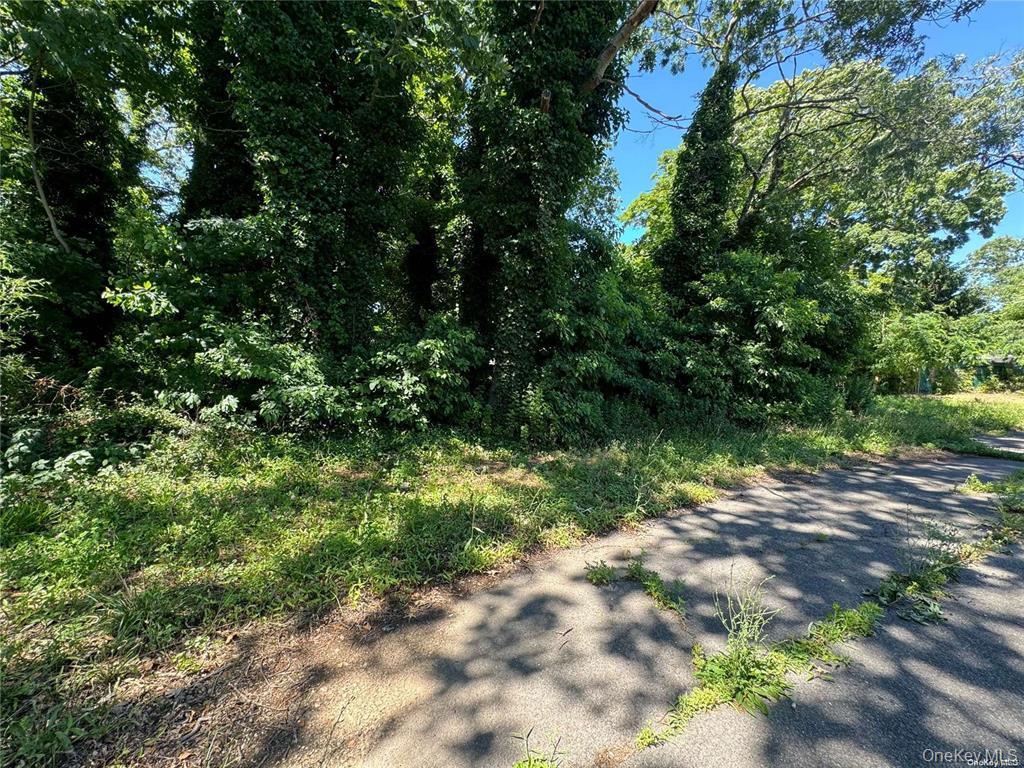 #2 photo, 215 Cortland Street, サフォーク郡 Copiague , NY 11726