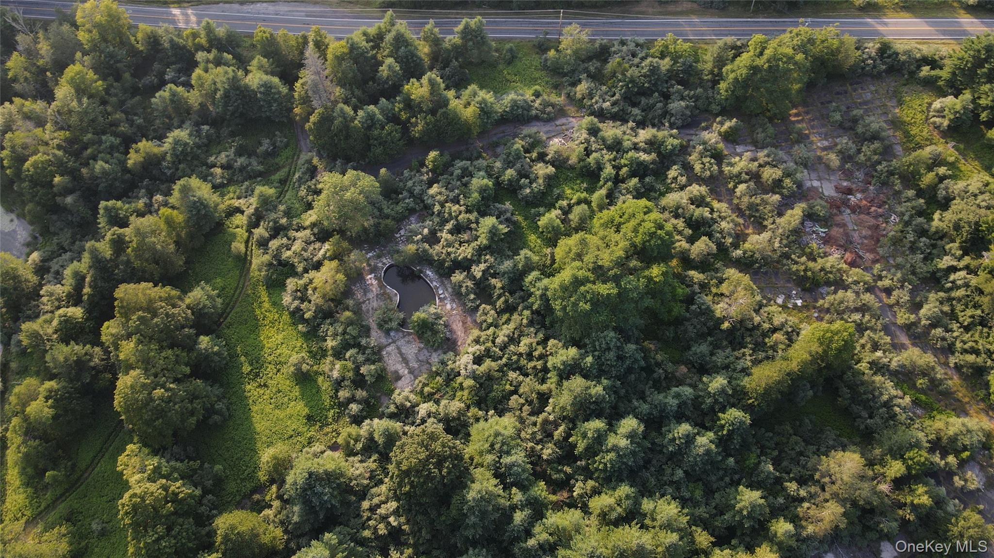 #9 photo, 324 Acres Sackett Lake Road, Monticello , NY 12701