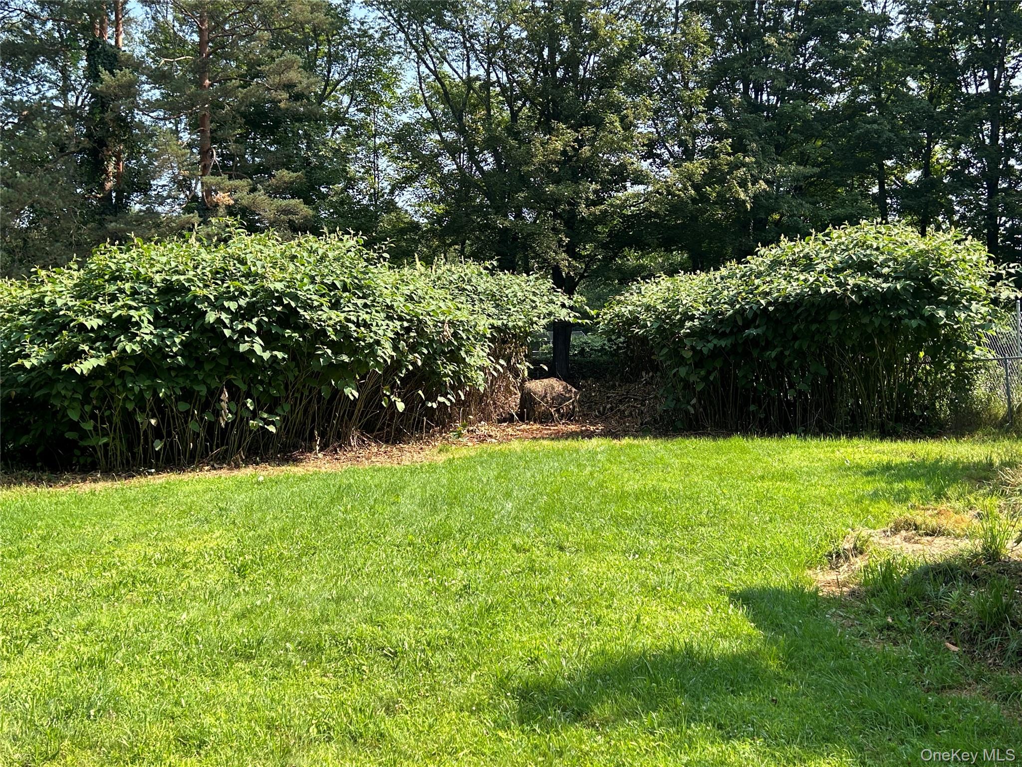 #4 photo, 40 River Street, Livingston Manor , NY 12758