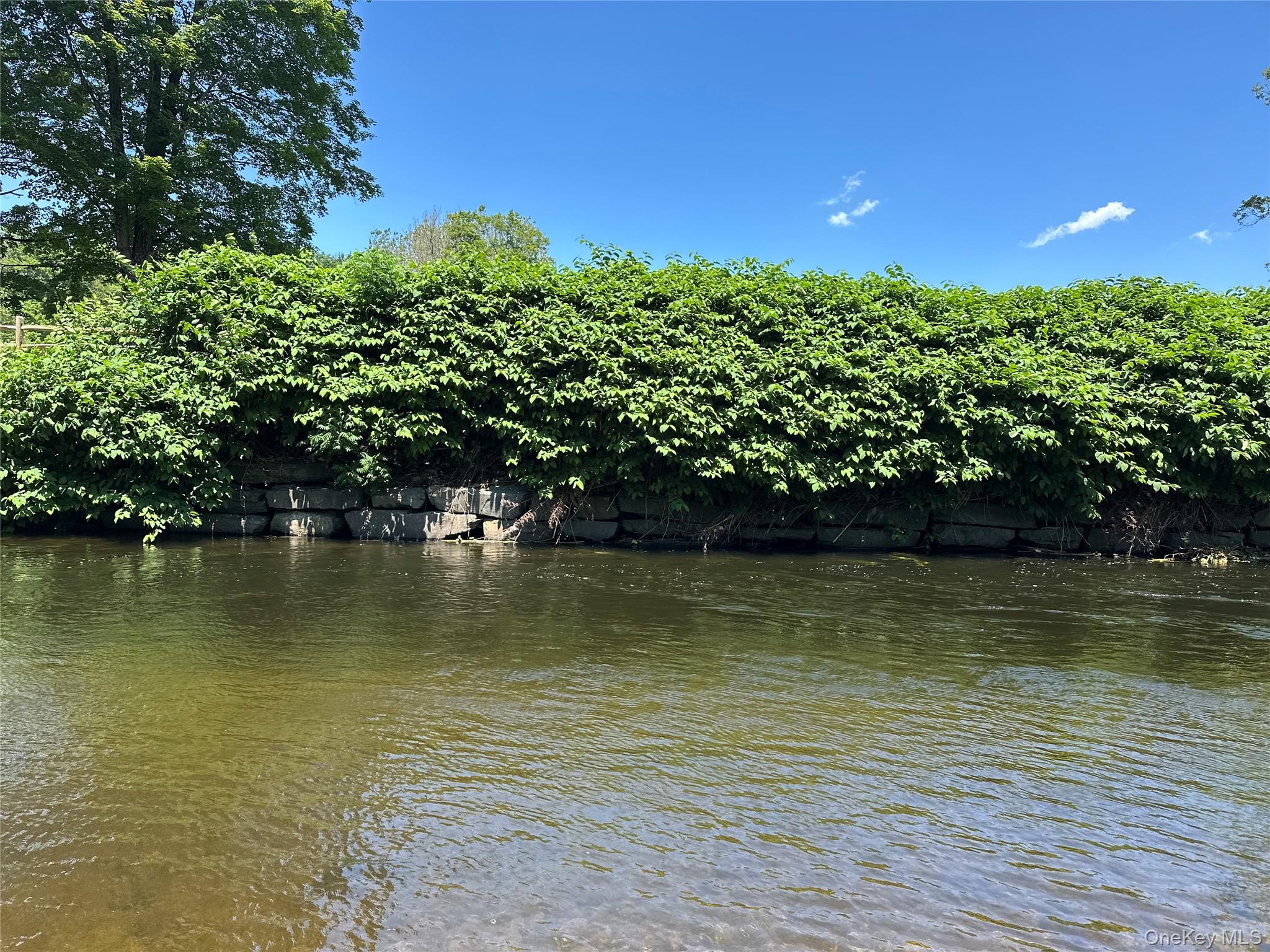 #5 photo, 40 River Street, Livingston Manor , NY 12758