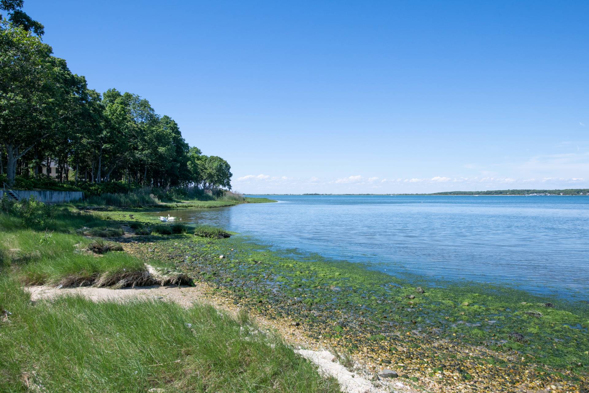 #32 photo, 30 Springwood Way, サフォーク郡 East Hampton , NY 11937