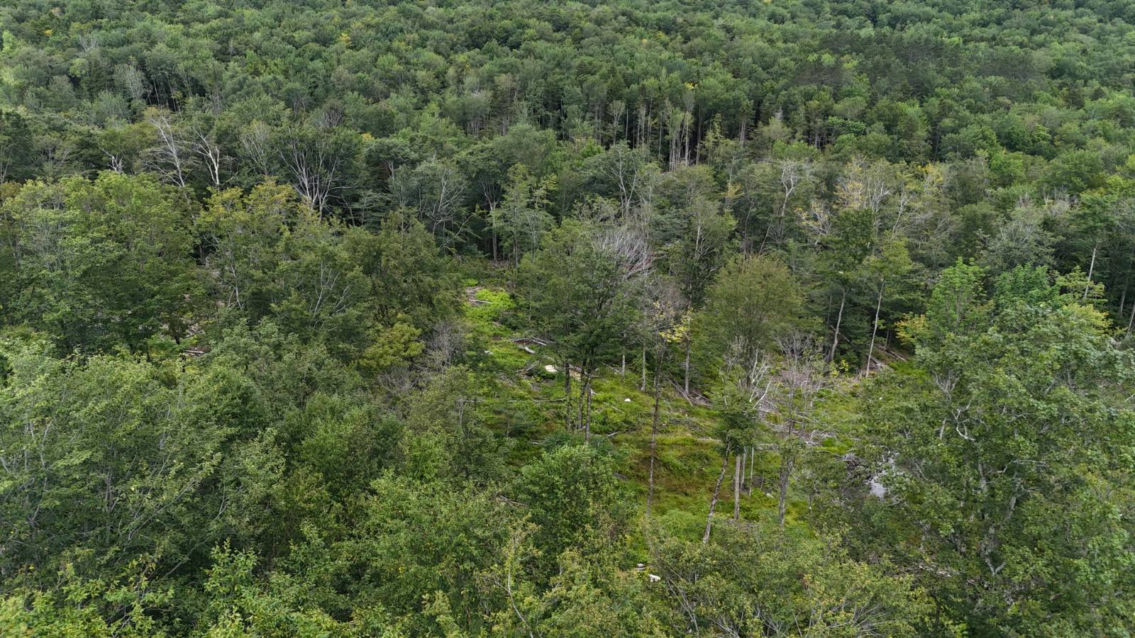 #10 photo, 00 Switzer Rd, Salisbury Center , NY 13454