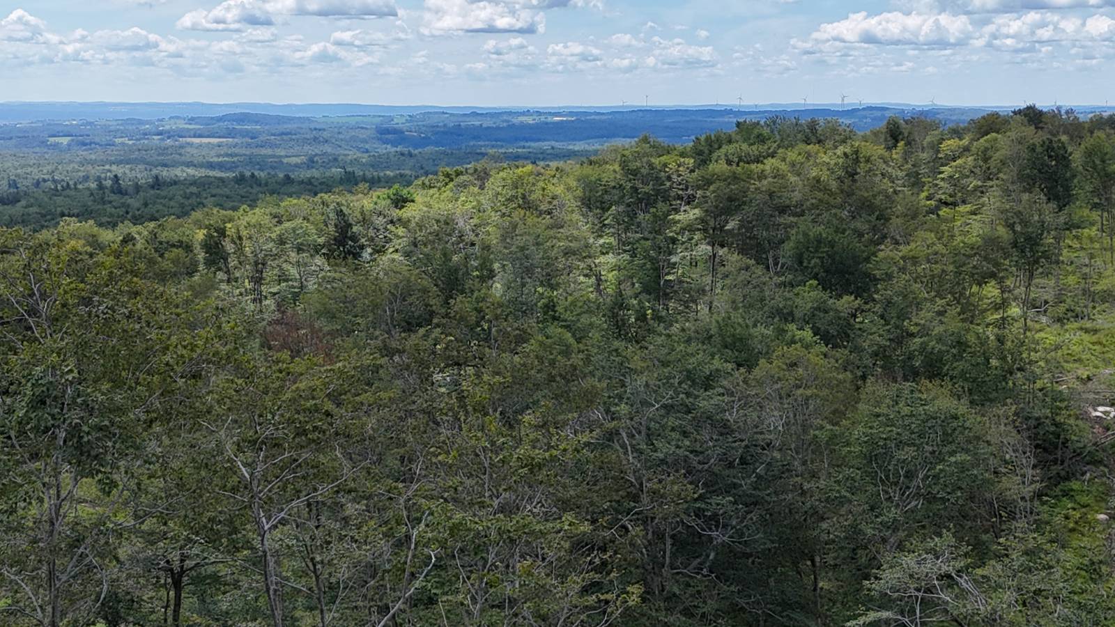 #15 photo, 00 Switzer Rd, Salisbury Center , NY 13454