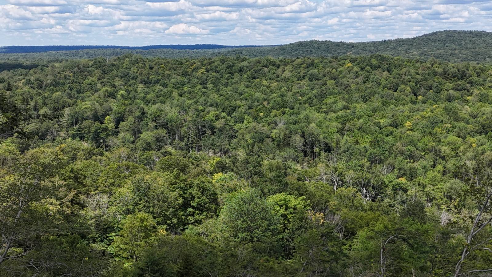 #16 photo, 00 Switzer Rd, Salisbury Center , NY 13454