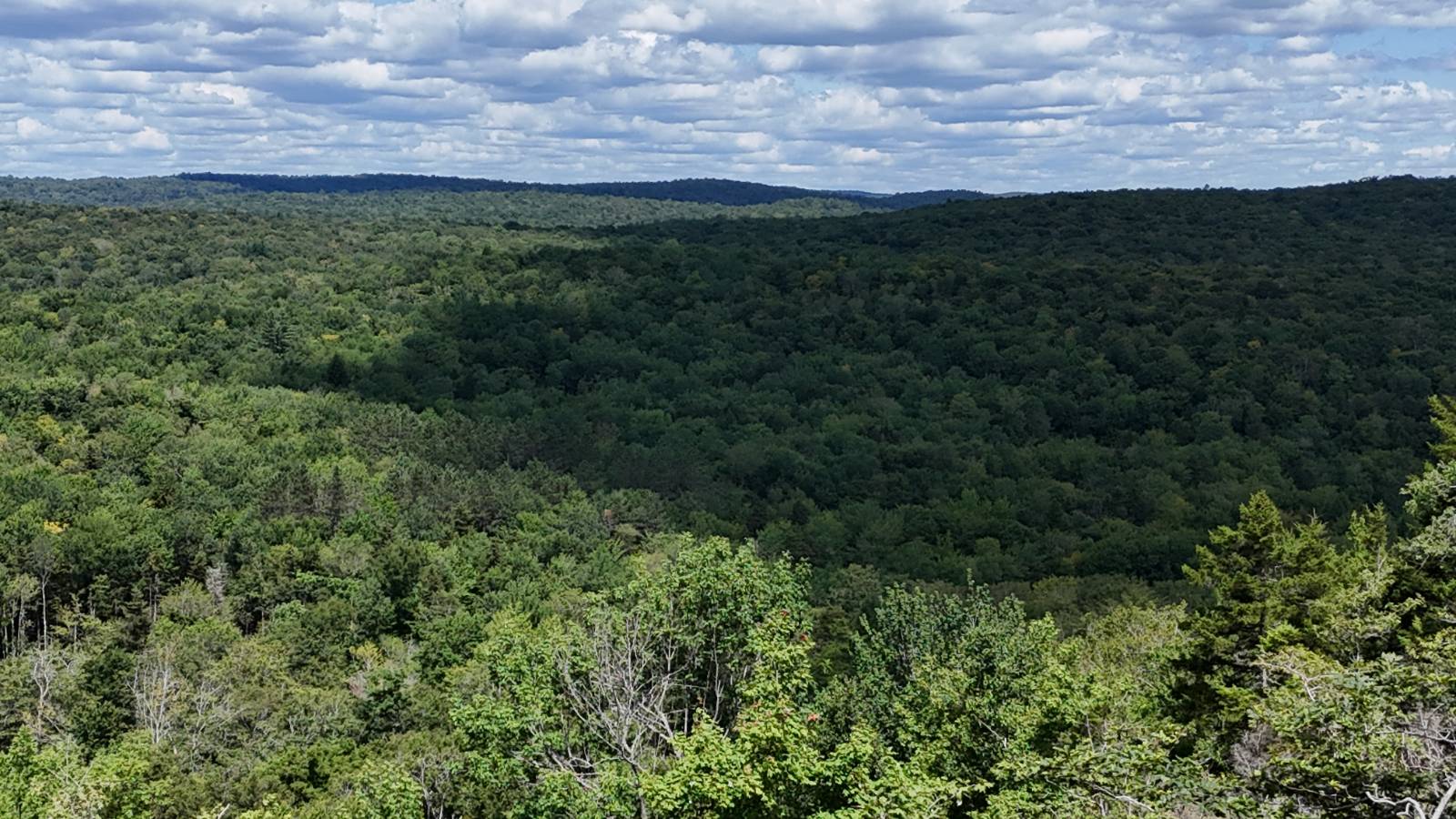 #17 photo, 00 Switzer Rd, Salisbury Center , NY 13454