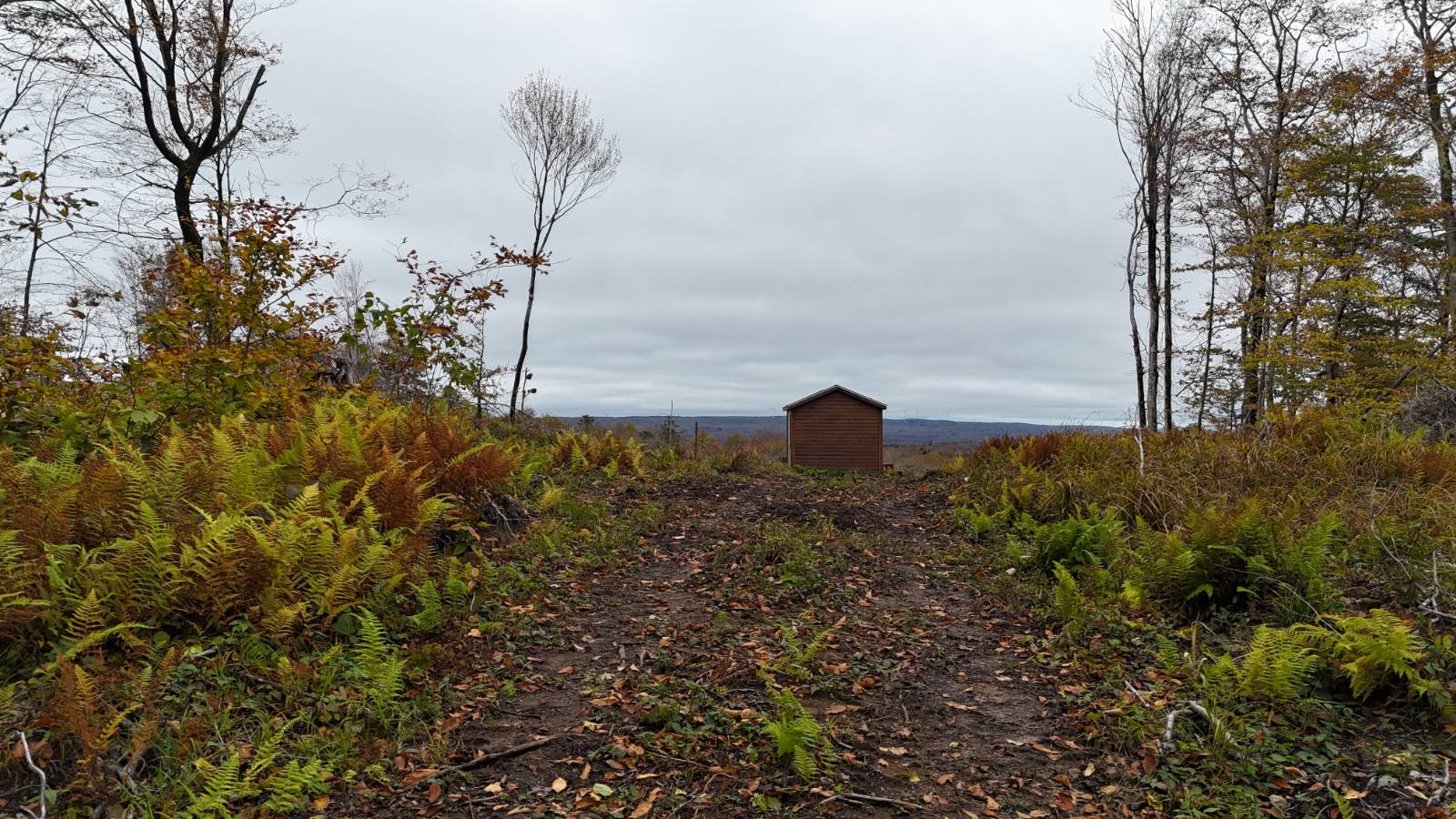 #19 photo, 00 Switzer Rd, Salisbury Center , NY 13454