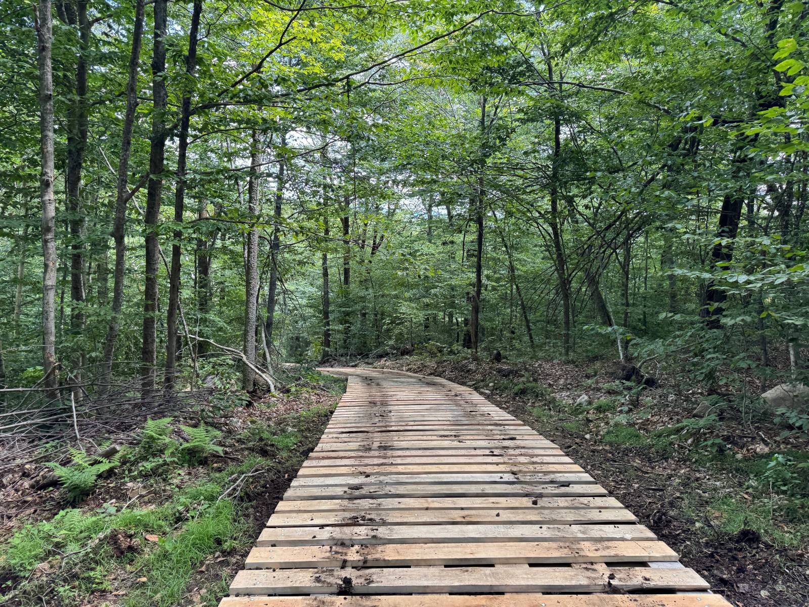 #20 photo, 00 Switzer Rd, Salisbury Center , NY 13454