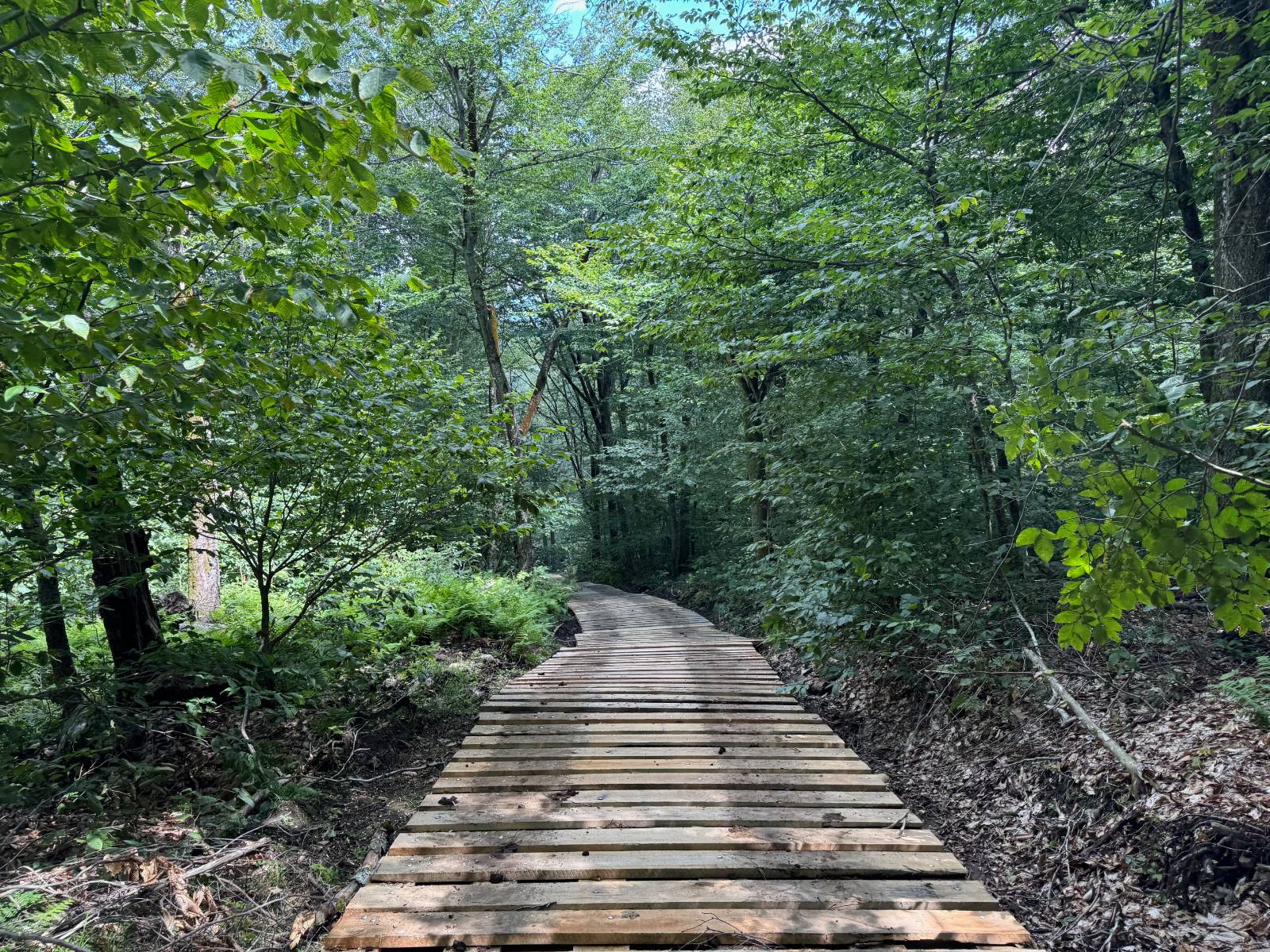 #21 photo, 00 Switzer Rd, Salisbury Center , NY 13454