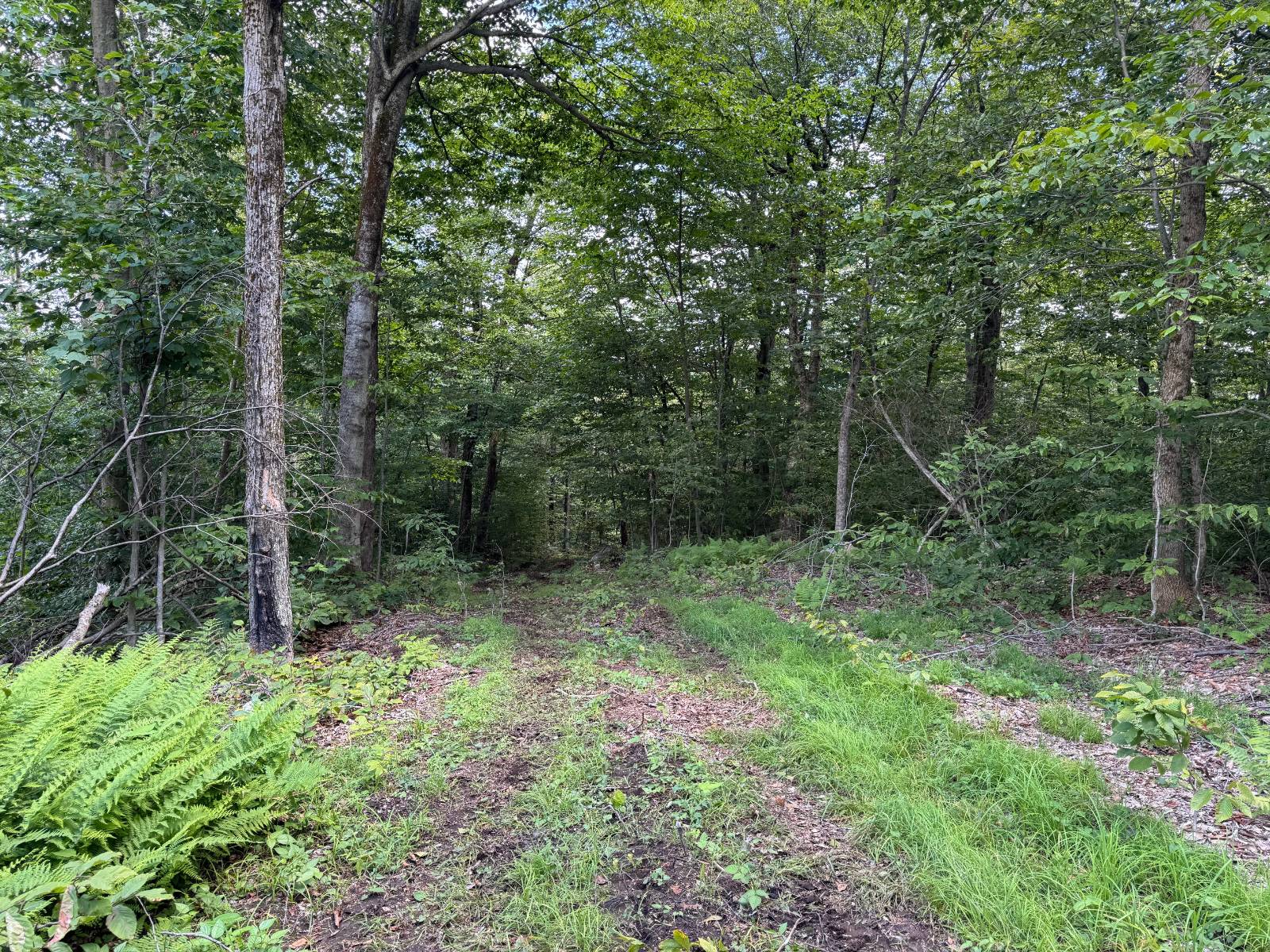 #22 photo, 00 Switzer Rd, Salisbury Center , NY 13454