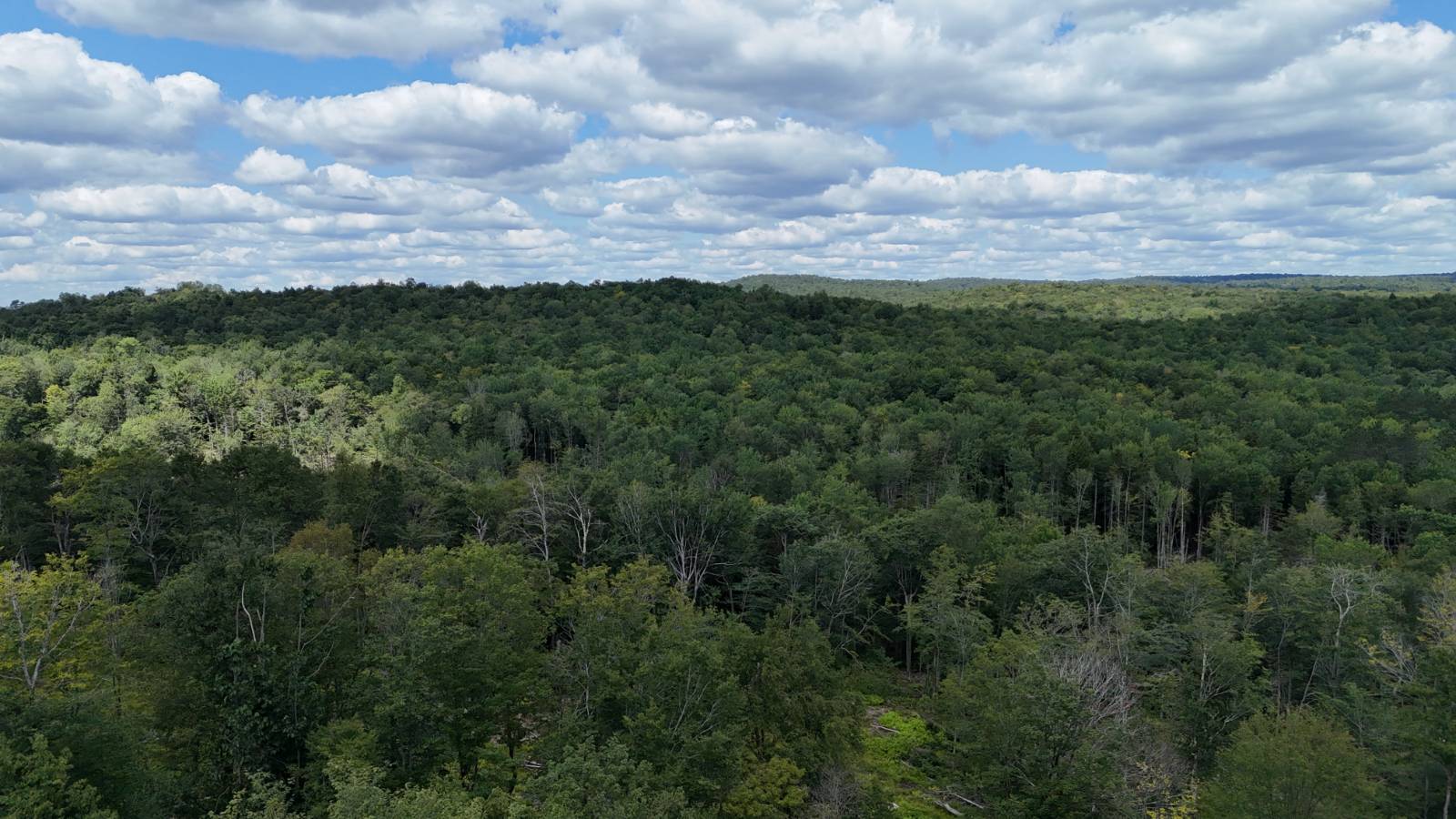 #4 photo, 00 Switzer Rd, Salisbury Center , NY 13454