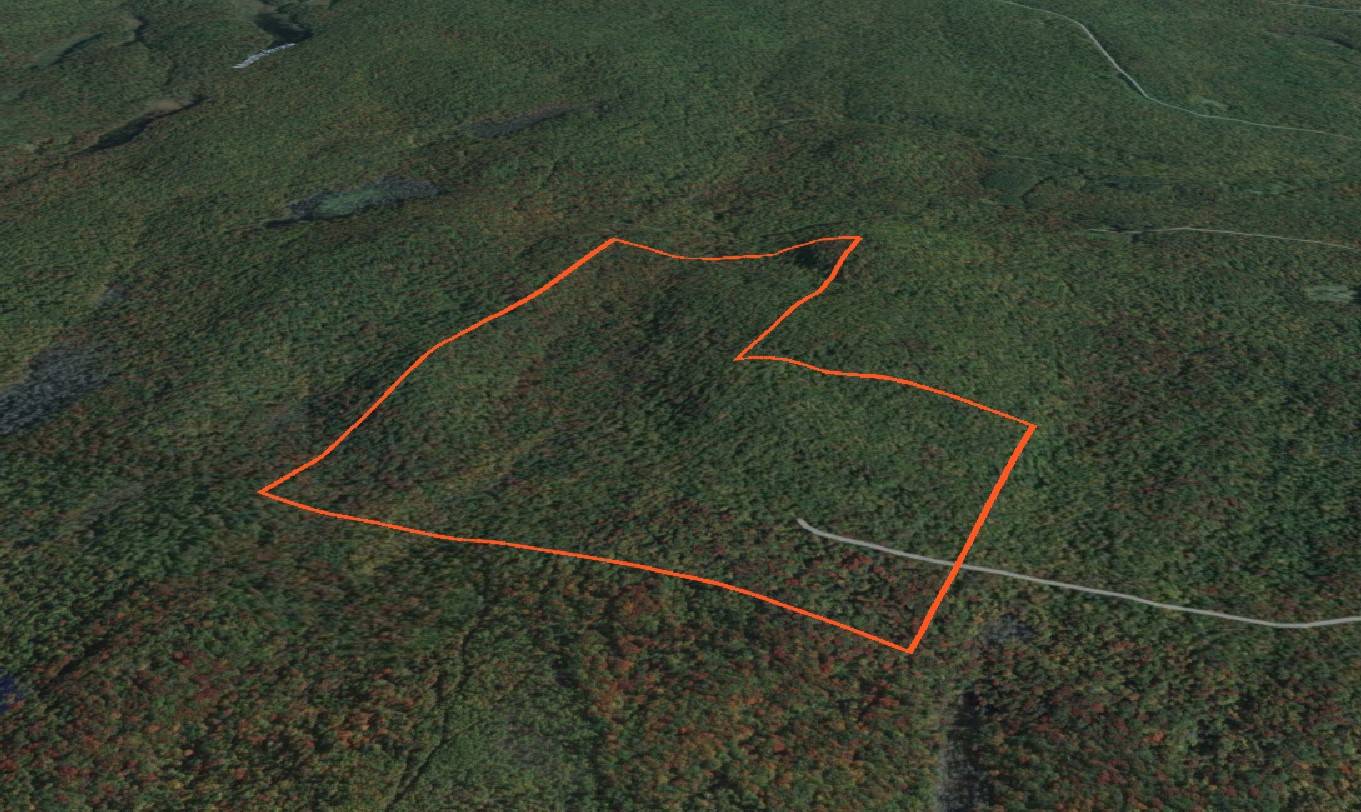 #5 photo, 00 Switzer Rd, Salisbury Center , NY 13454