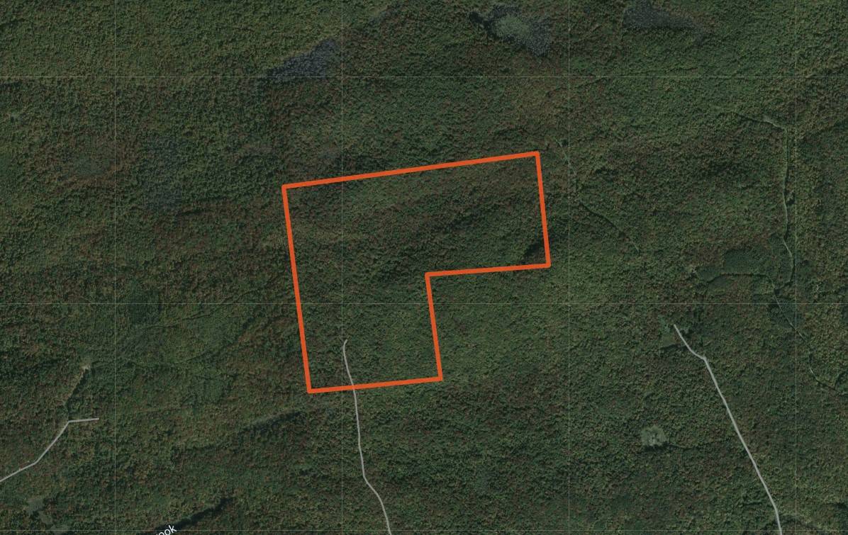 #6 photo, 00 Switzer Rd, Salisbury Center , NY 13454