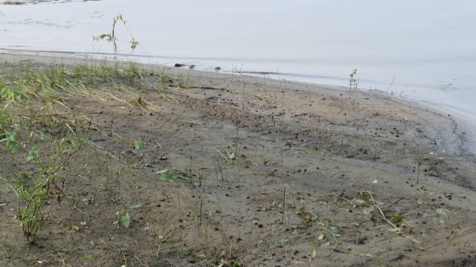 #3 photo, 111 Pike St, Broadalbin , NY 12025