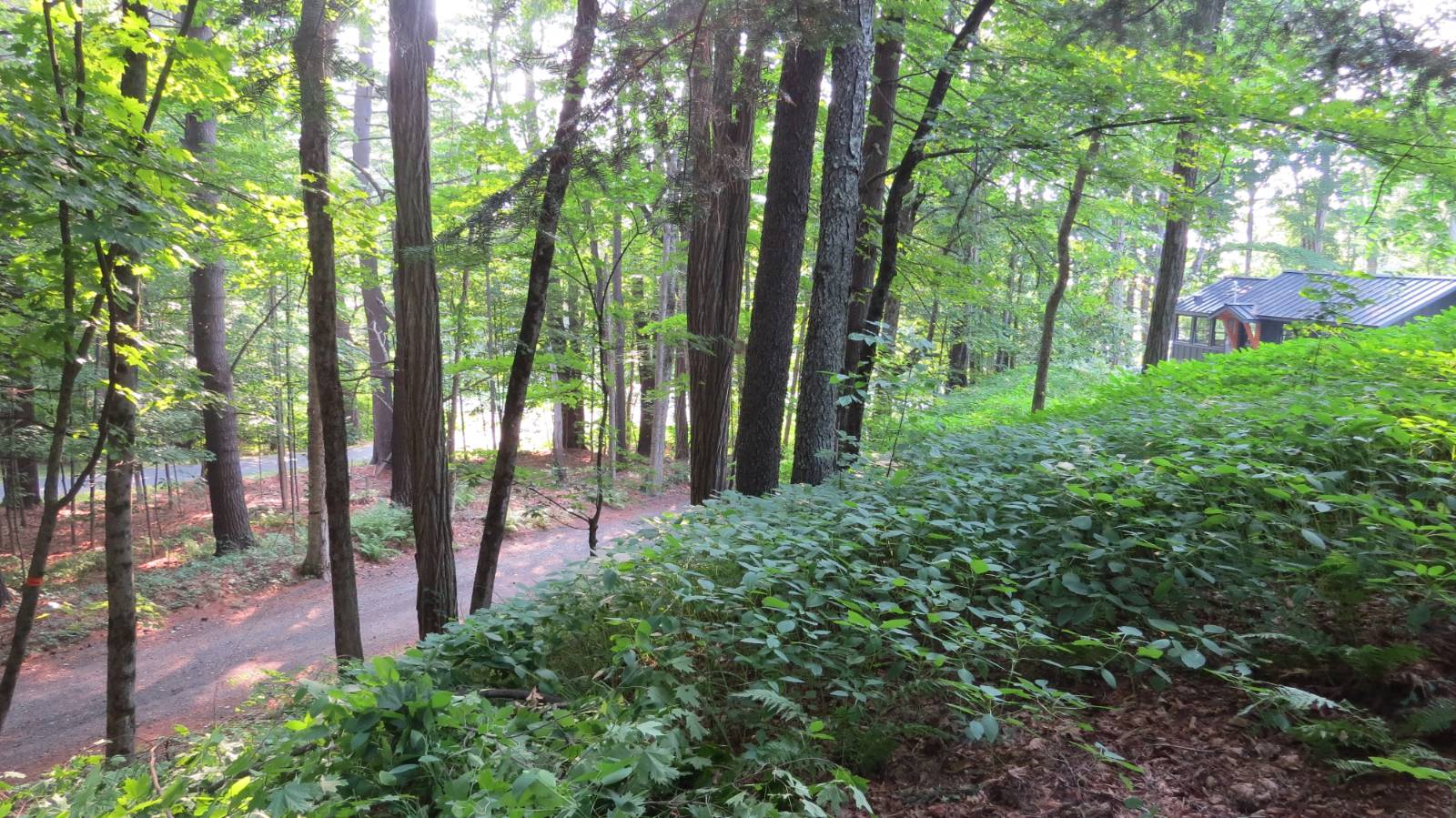 #38 photo, 111 Pike St, Broadalbin , NY 12025