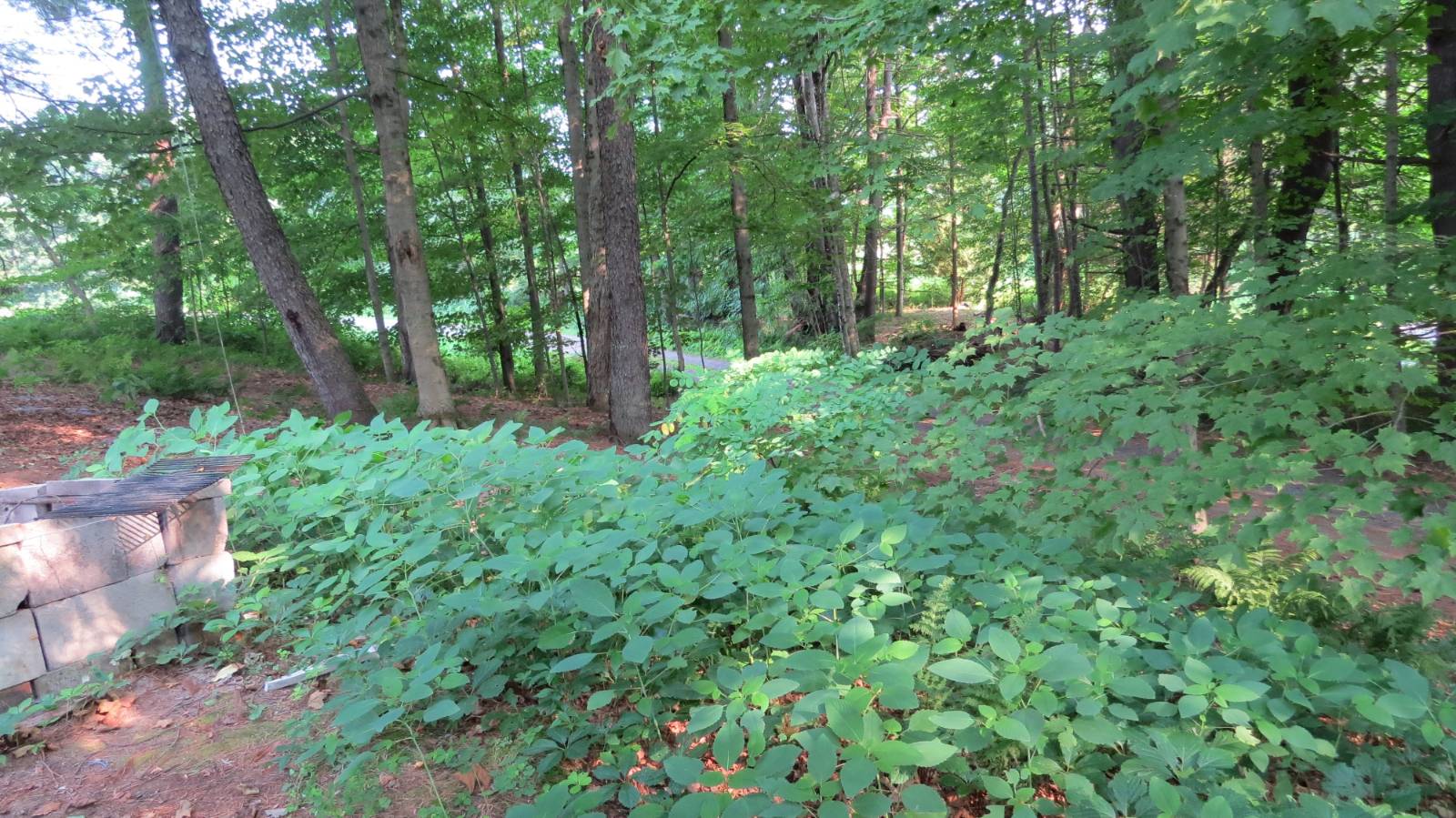 #39 photo, 111 Pike St, Broadalbin , NY 12025