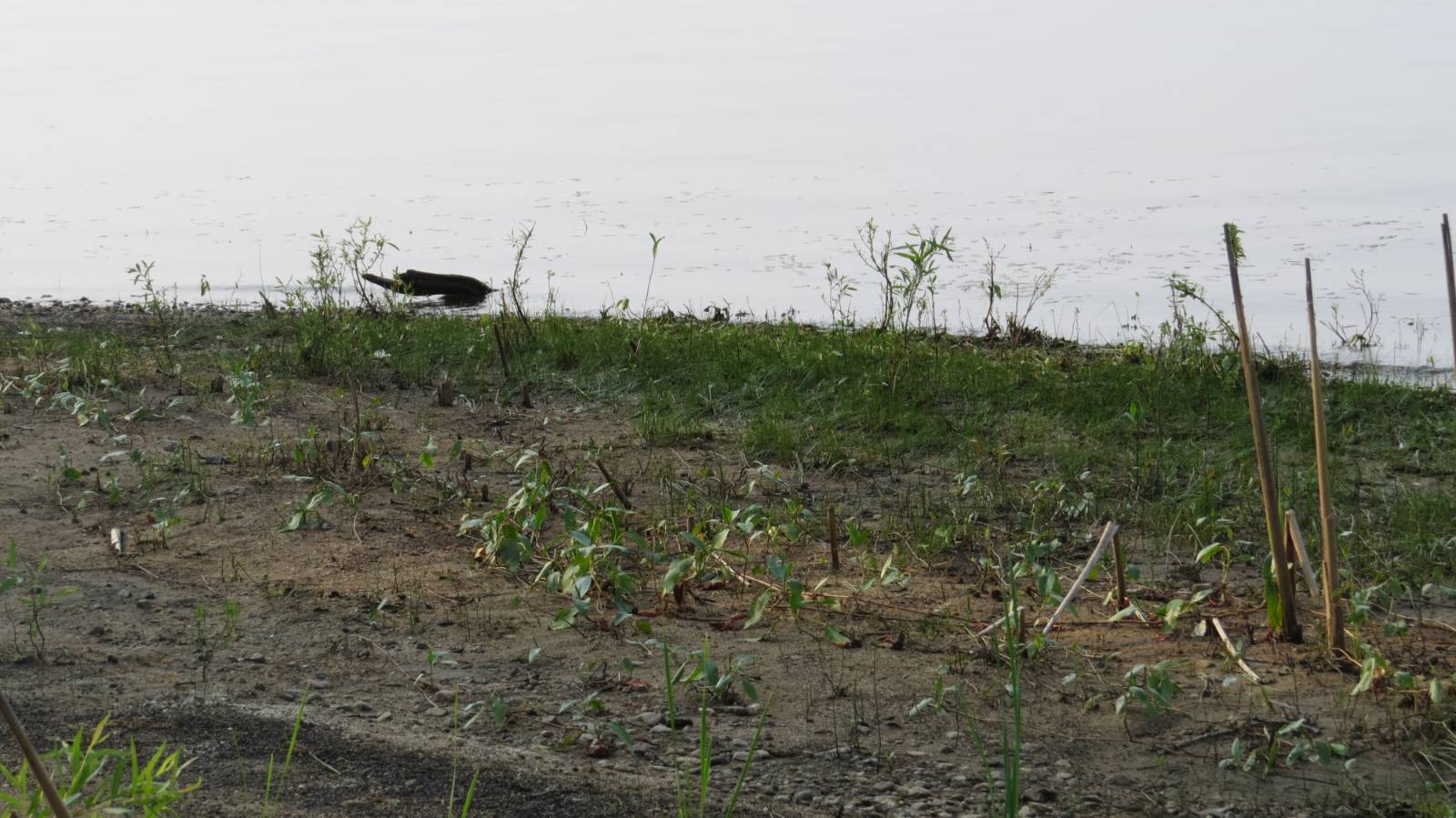 #4 photo, 111 Pike St, Broadalbin , NY 12025