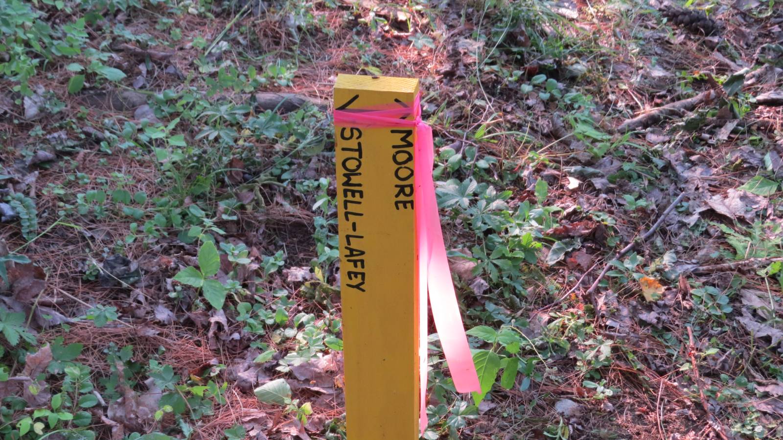 #45 photo, 111 Pike St, Broadalbin , NY 12025