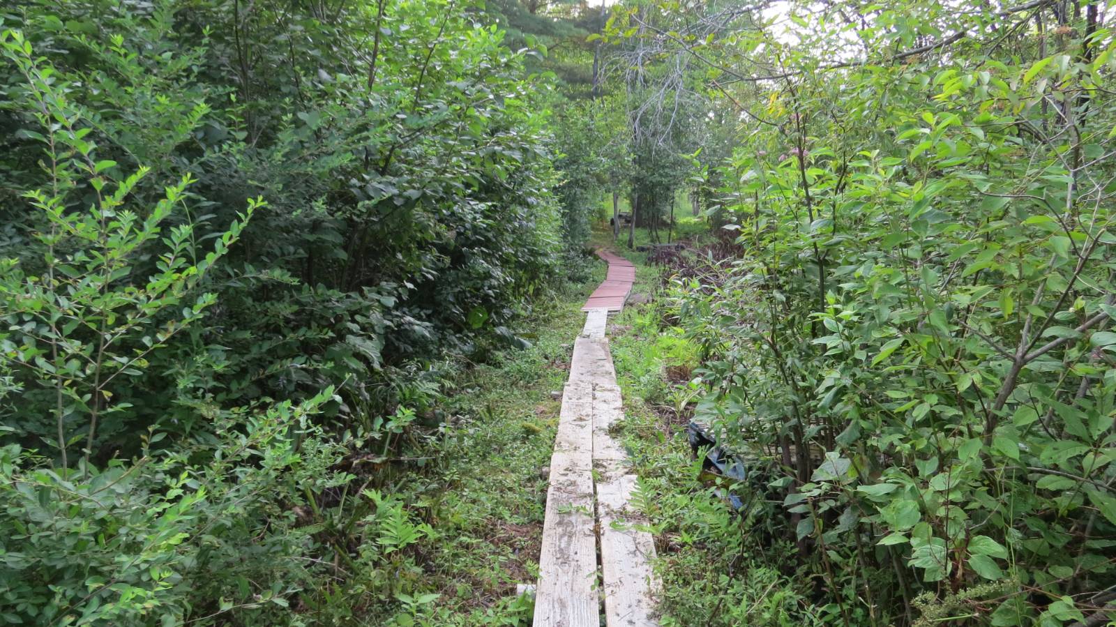 #50 photo, 111 Pike St, Broadalbin , NY 12025