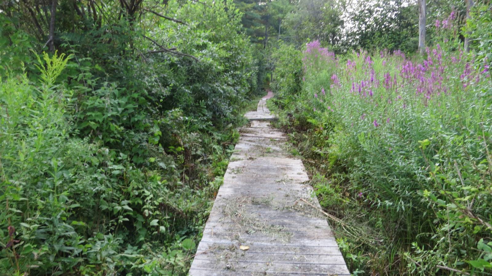 #51 photo, 111 Pike St, Broadalbin , NY 12025